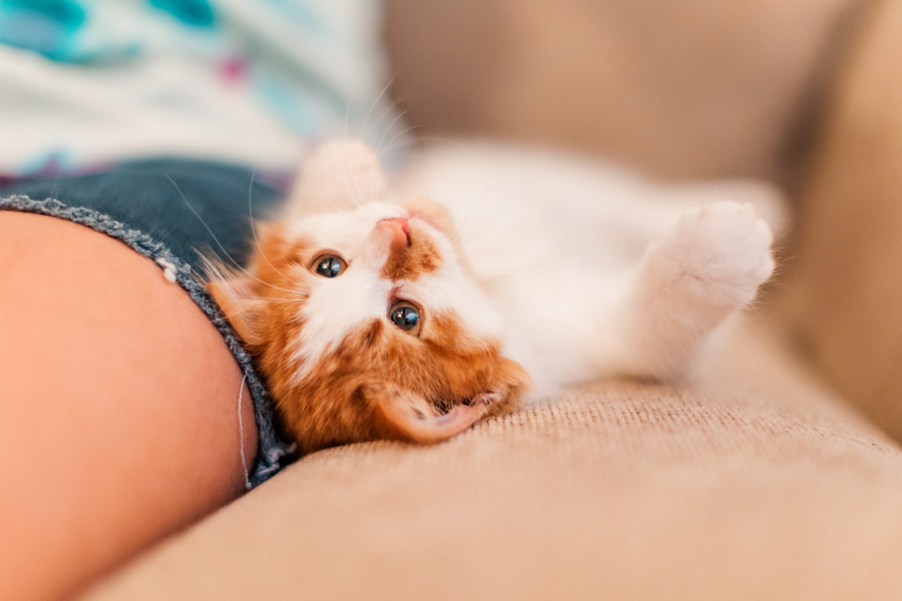 Jennifer B Photography NC,Pinehurst NC Weddings