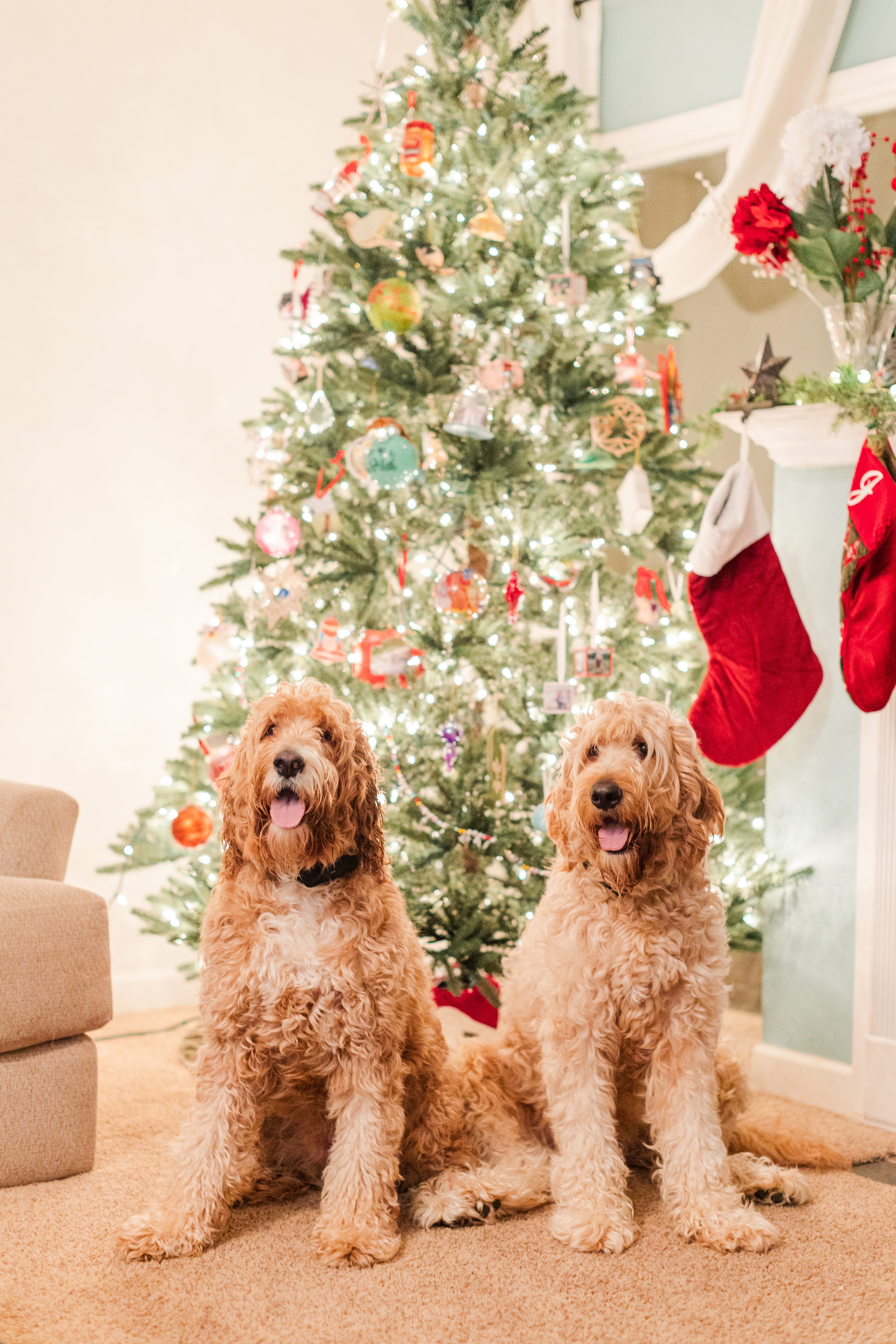 Southern Pines NC Weddings