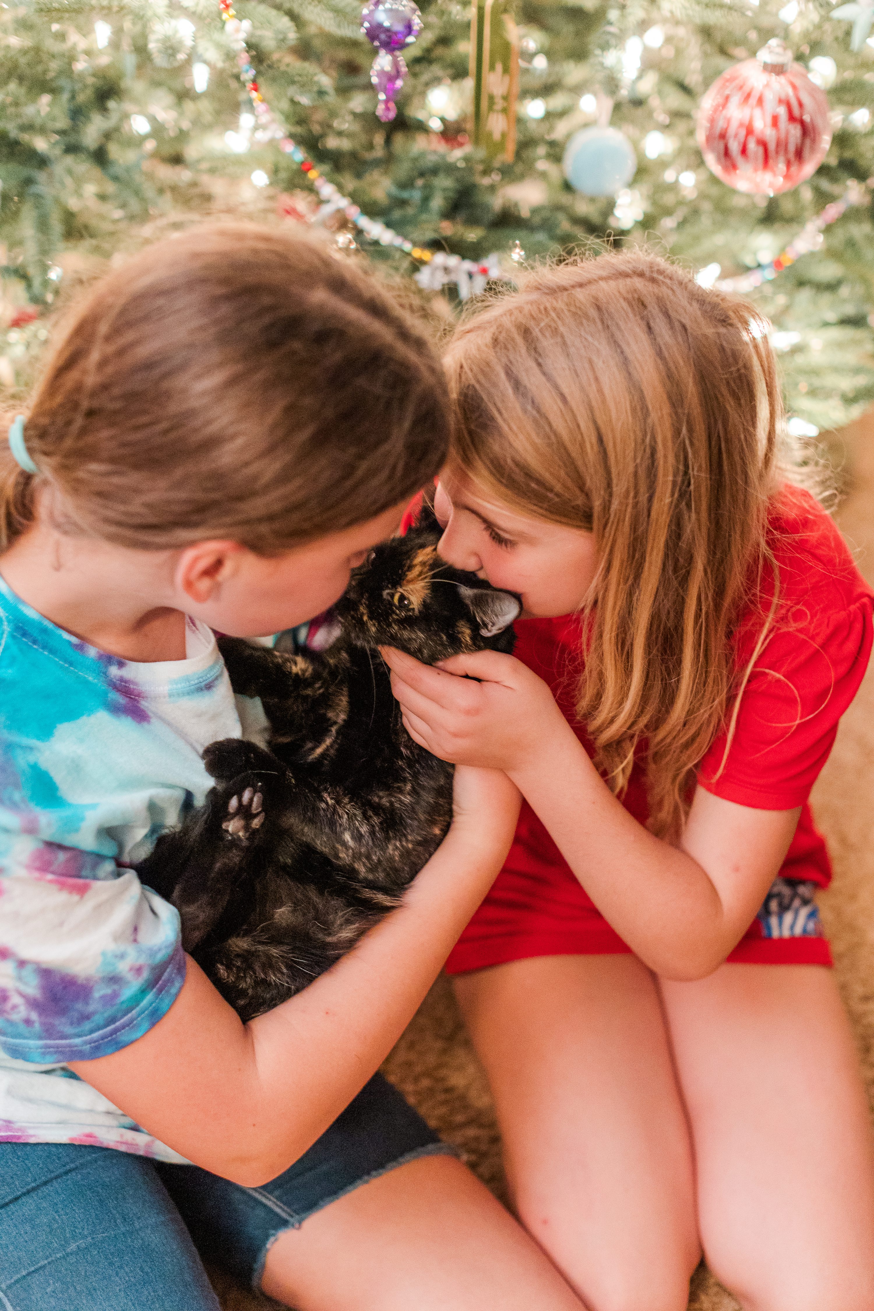 Southern Pines NC,Southern Weddings