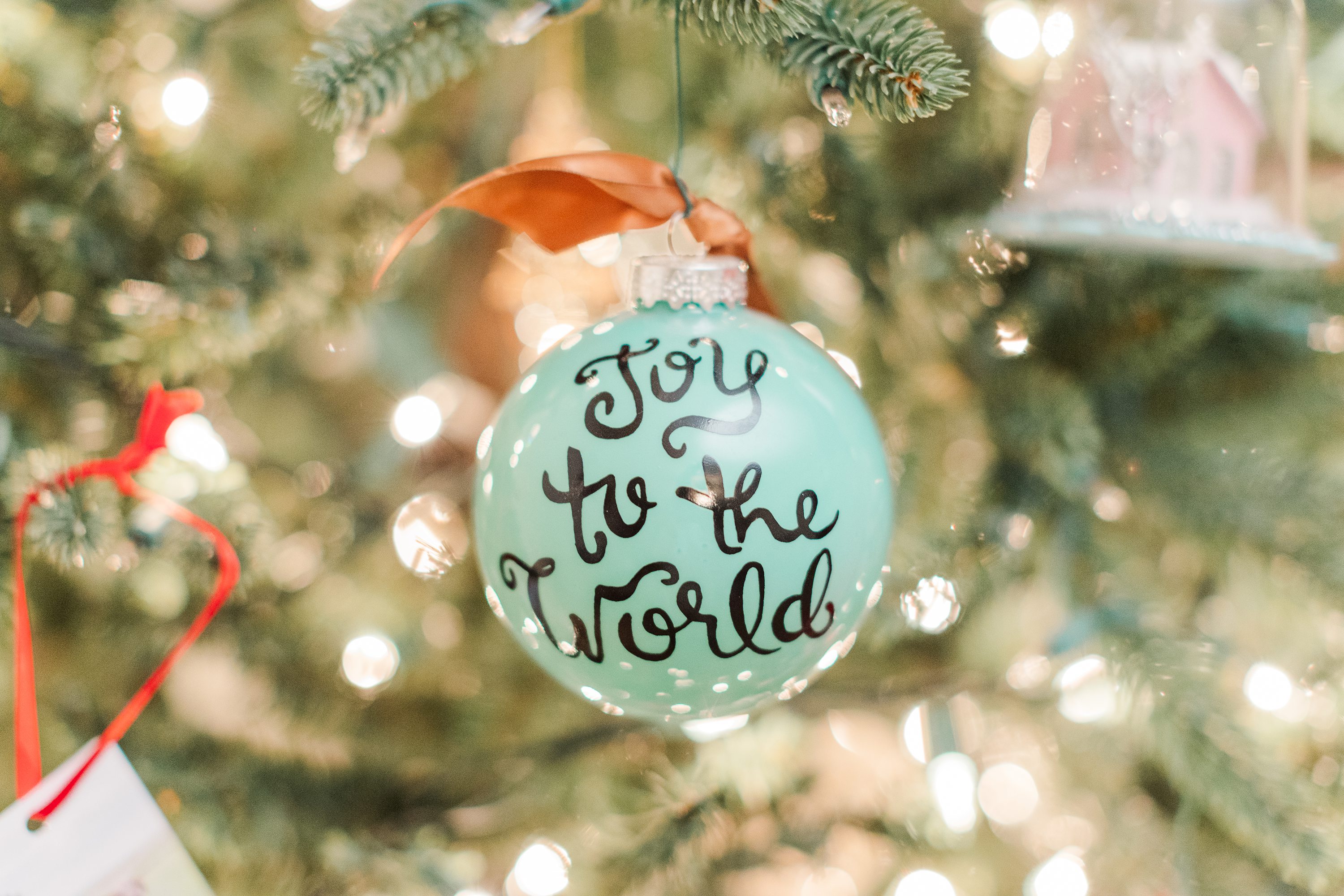 Pinehurst NC  ,Southern Pines Wedding Photographer