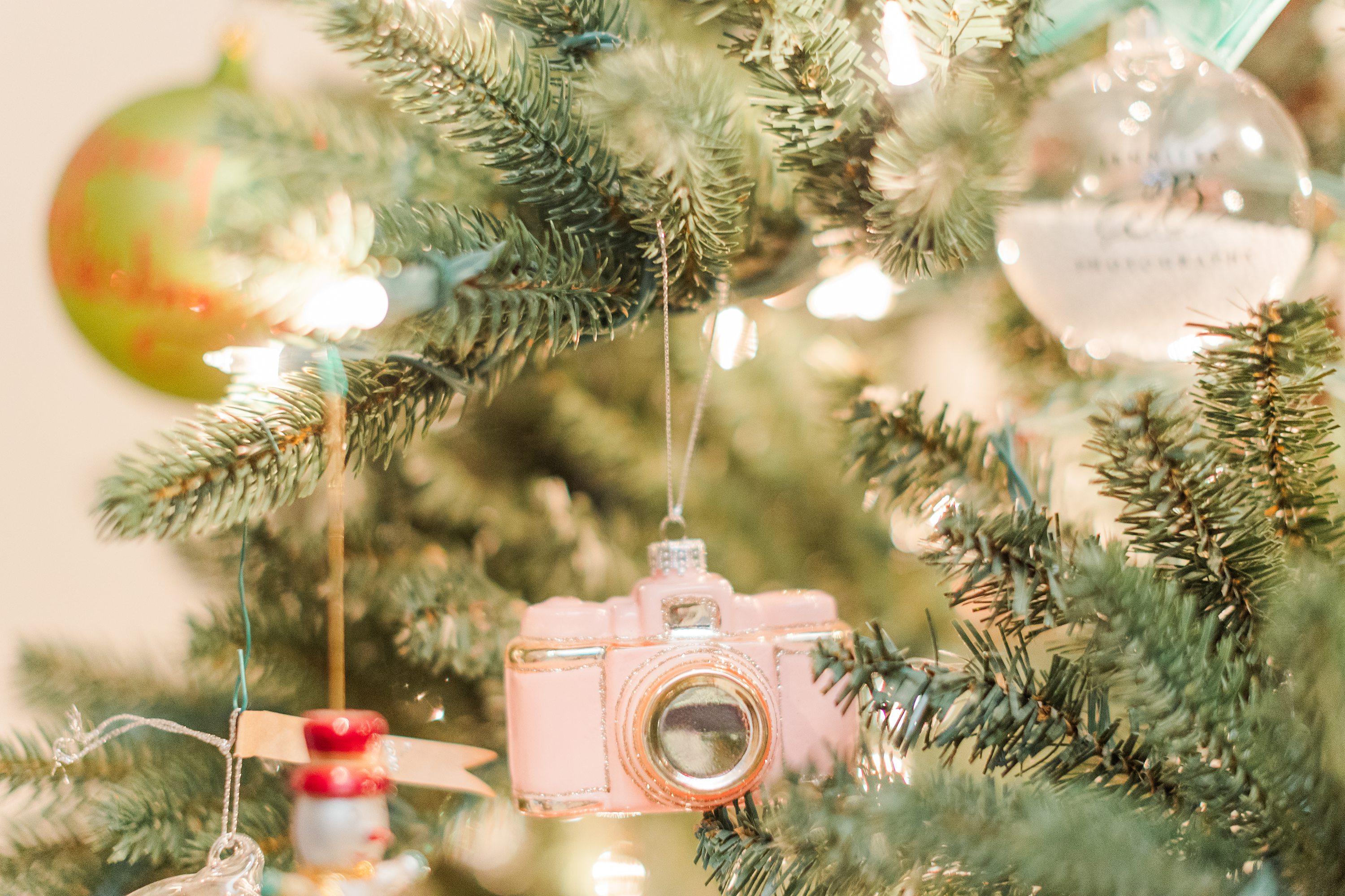 Jennifer B Photography,Southern Pines Wedding Photographer