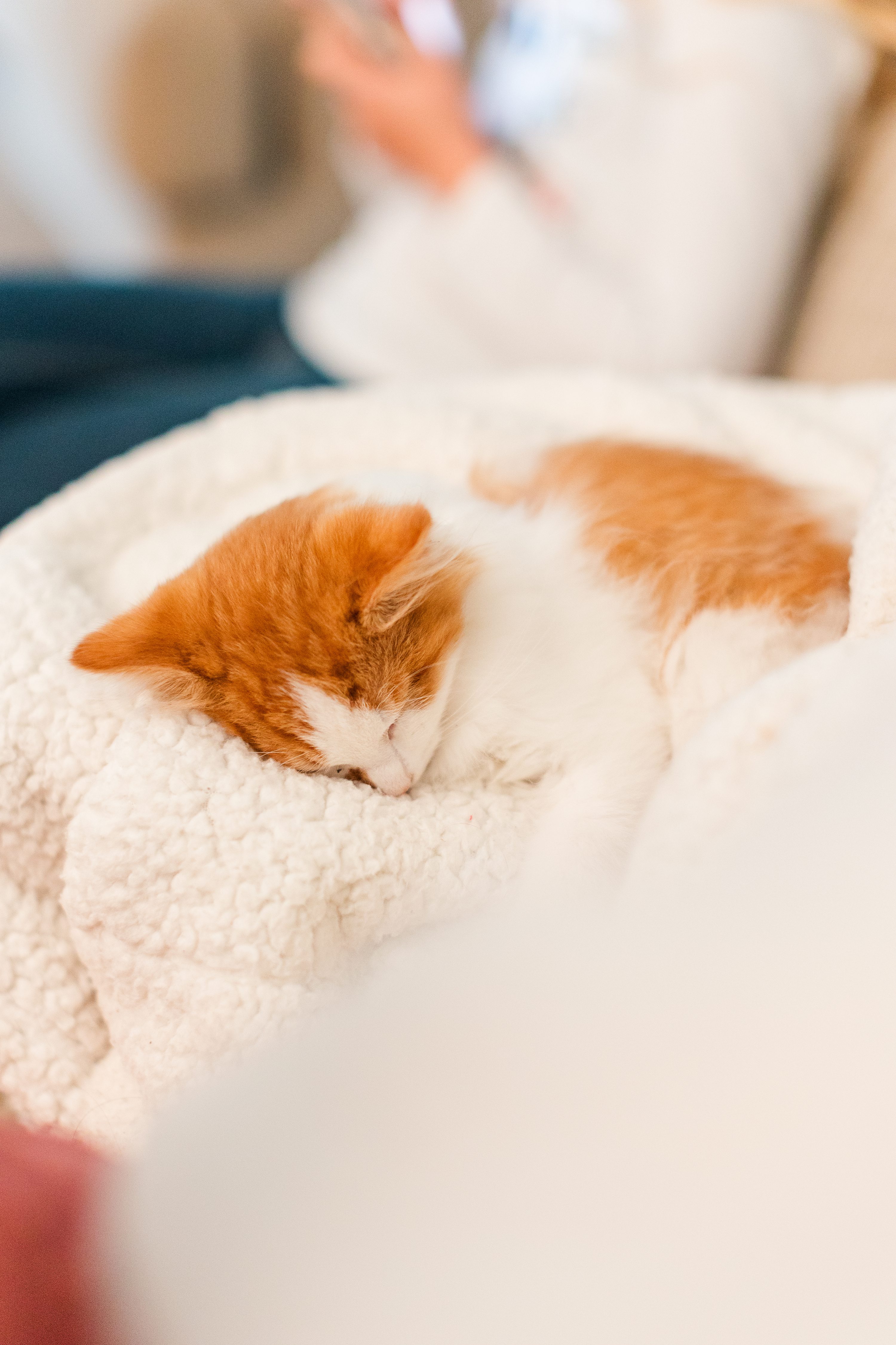 Southern Pines Wedding Photographer,Jennifer B Photography