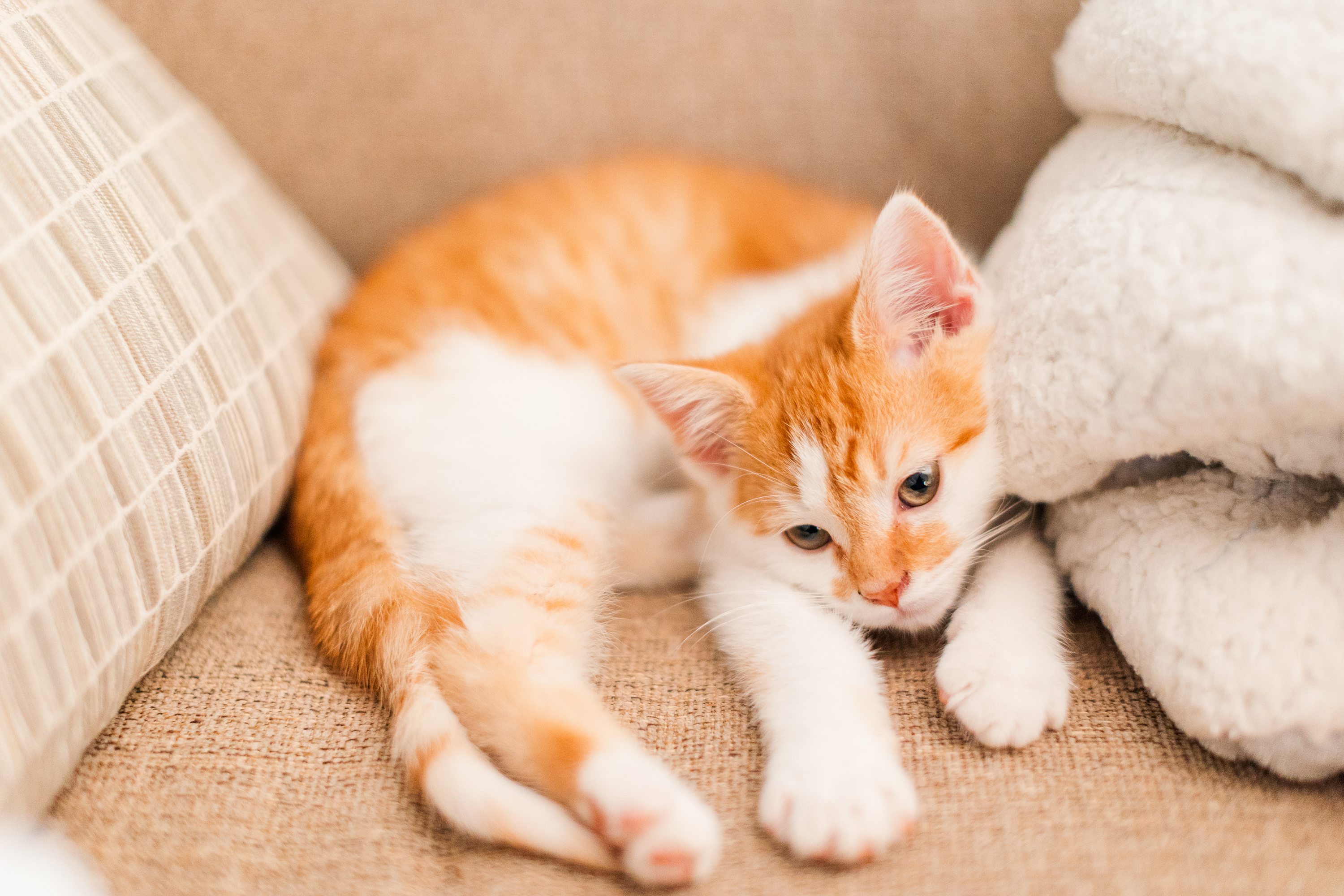 Jennifer B Photography,Southern Pines Wedding Photographer