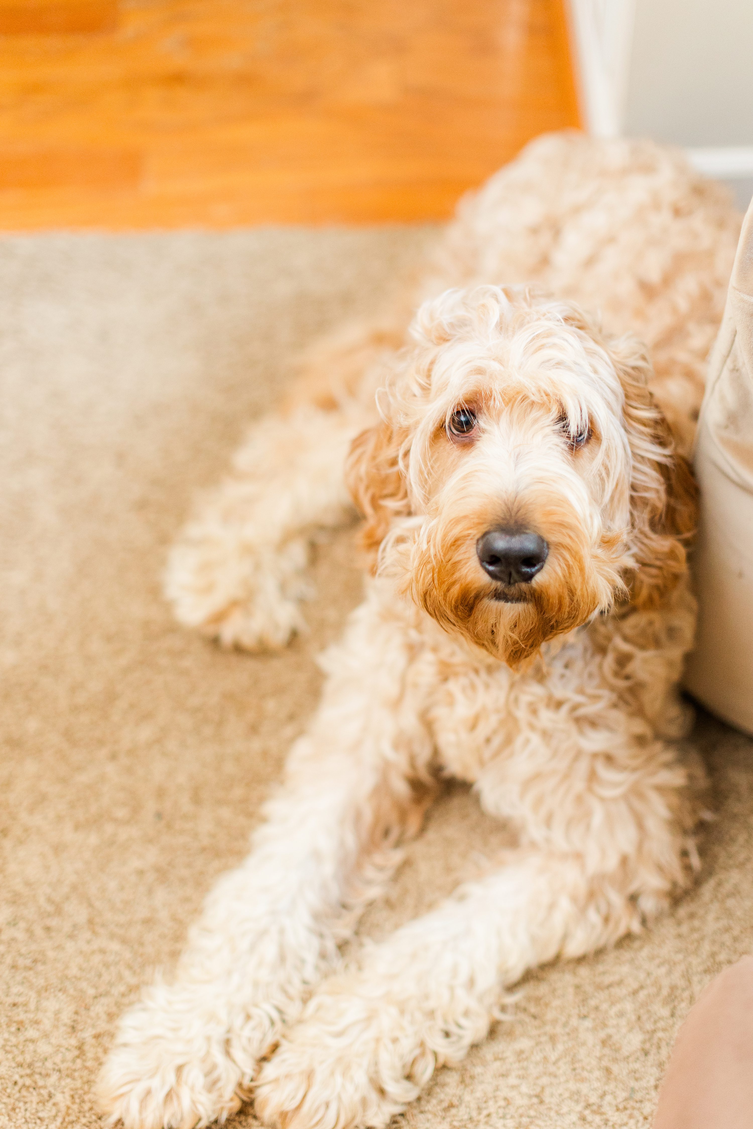 Pinehurst NC Weddings,Pinehurst NC  