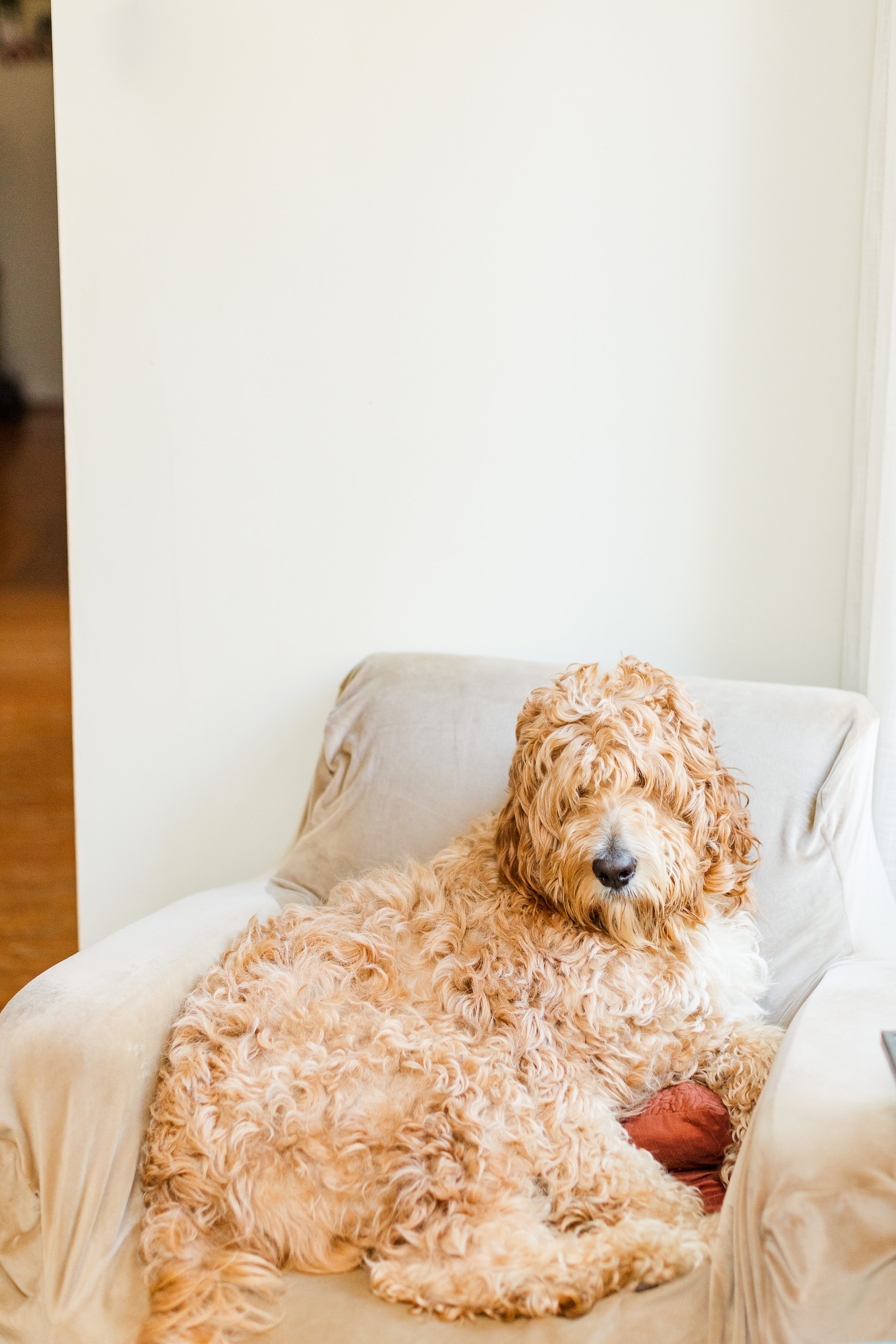 Jennifer B Photography,Pinehurst Wedding Photographer