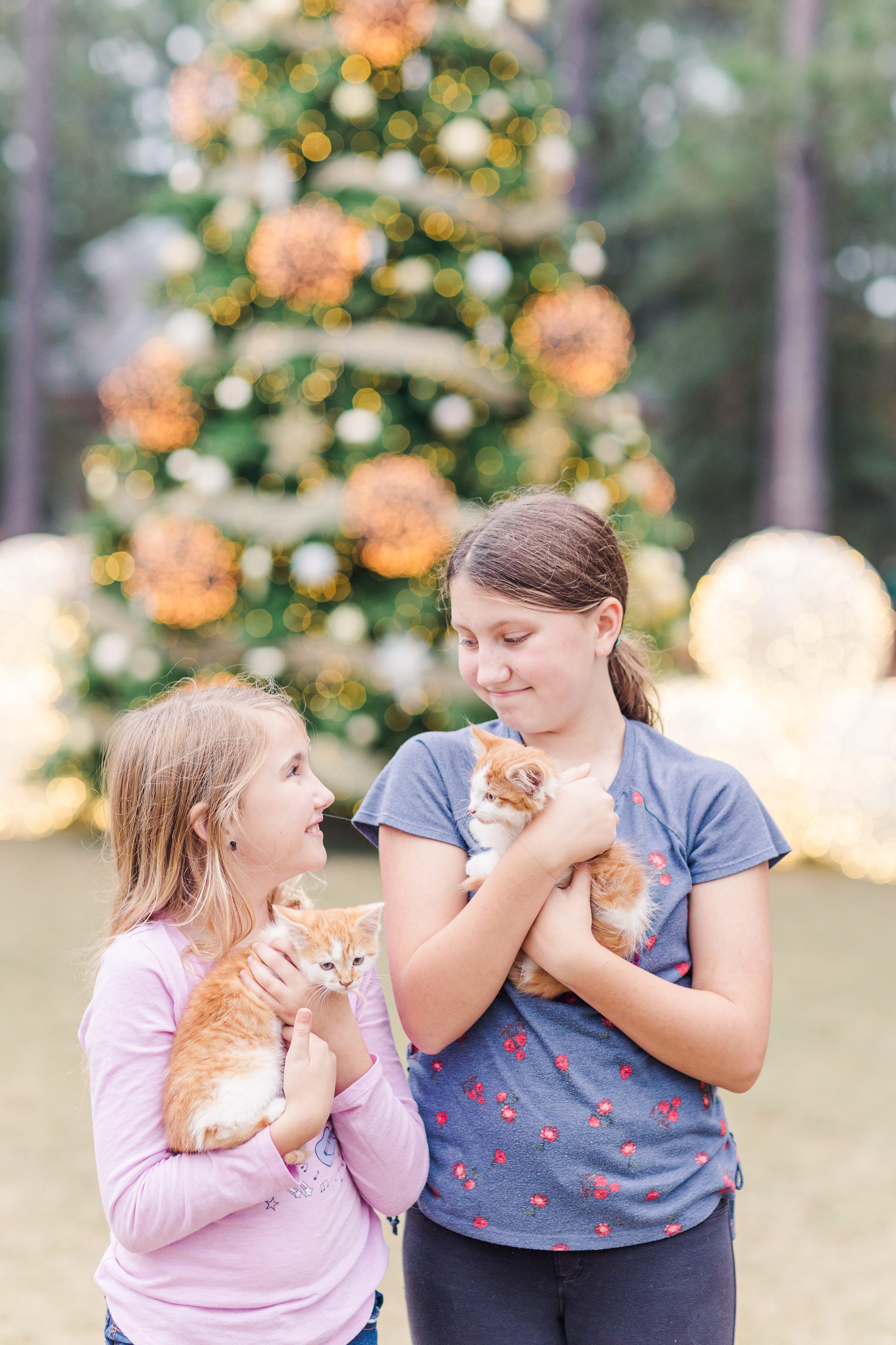 Pinehurst Wedding Photographer