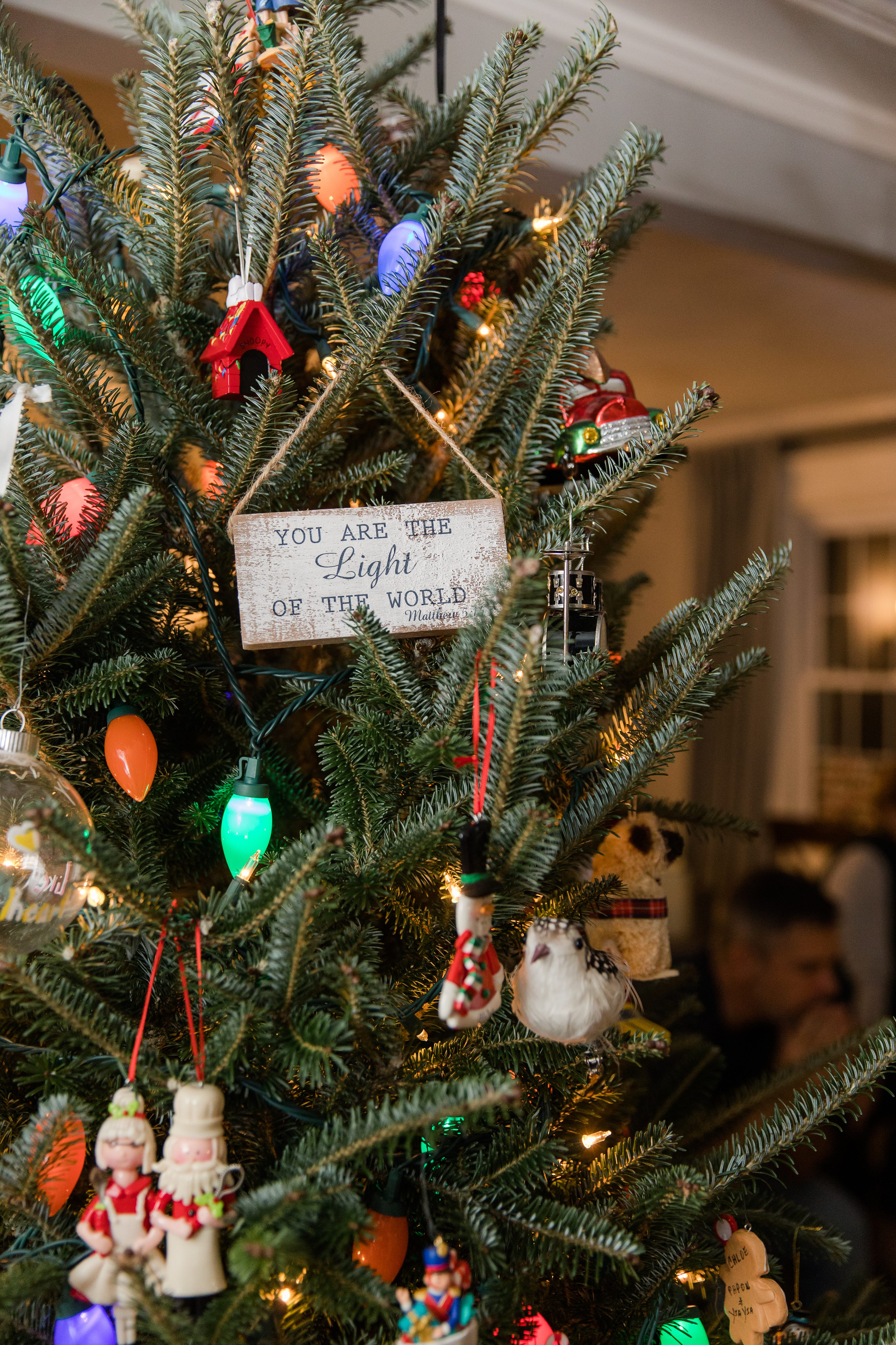 Southern Pines NC Weddings,Southern Weddings