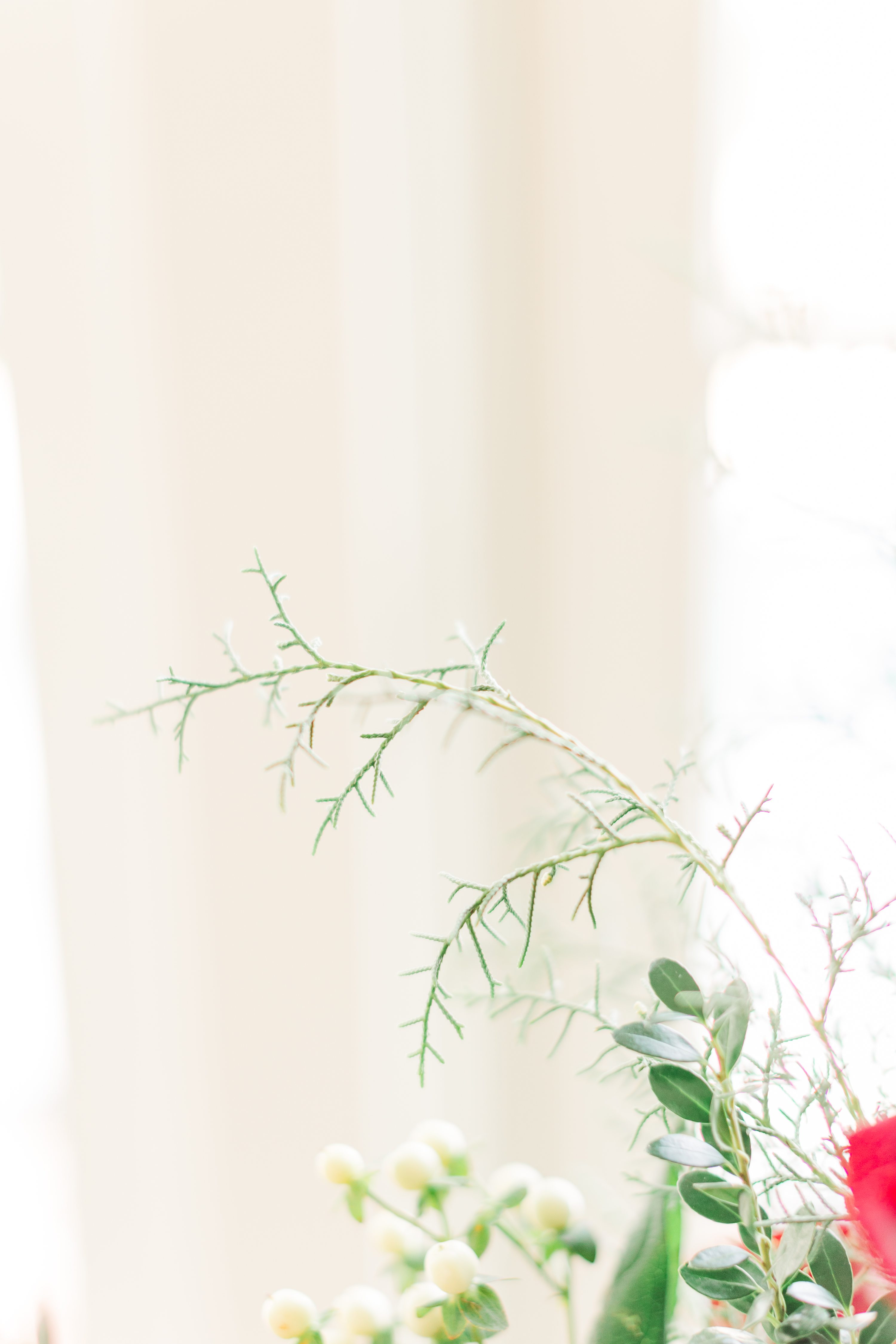 NC Wedding Photographer,Southern Pines NC