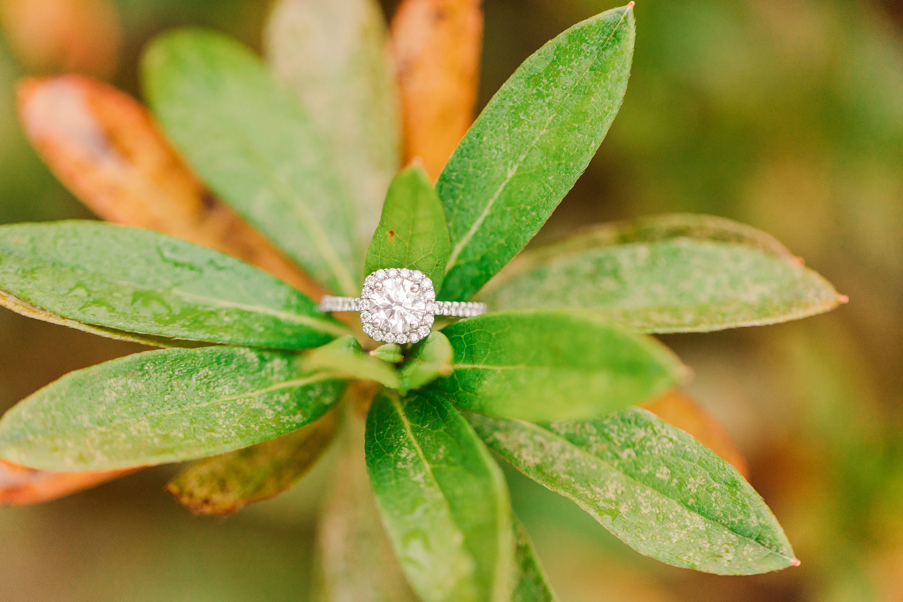 NC Wedding Photographer