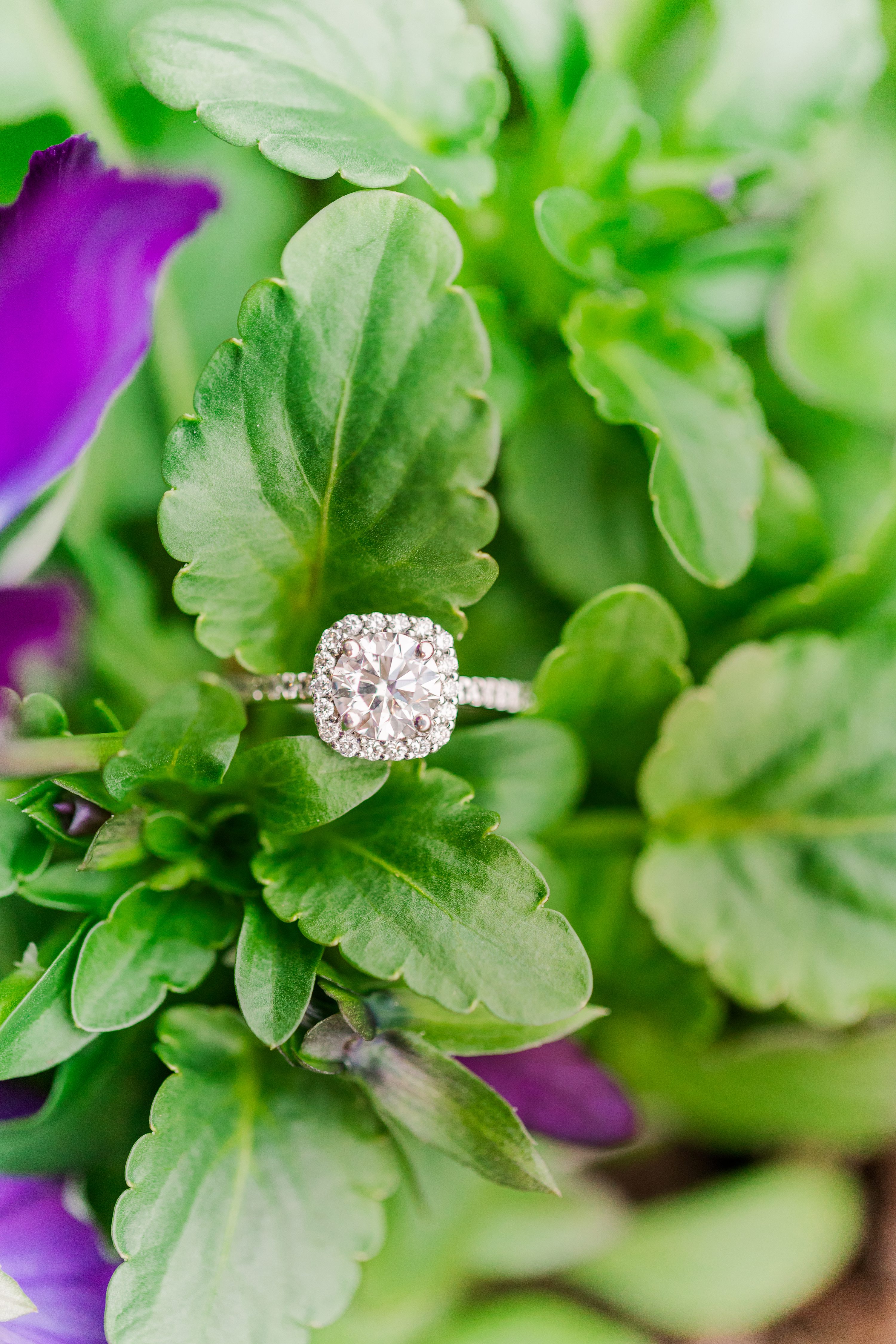 Pinehurst Wedding Photographer,Jennifer B Photography