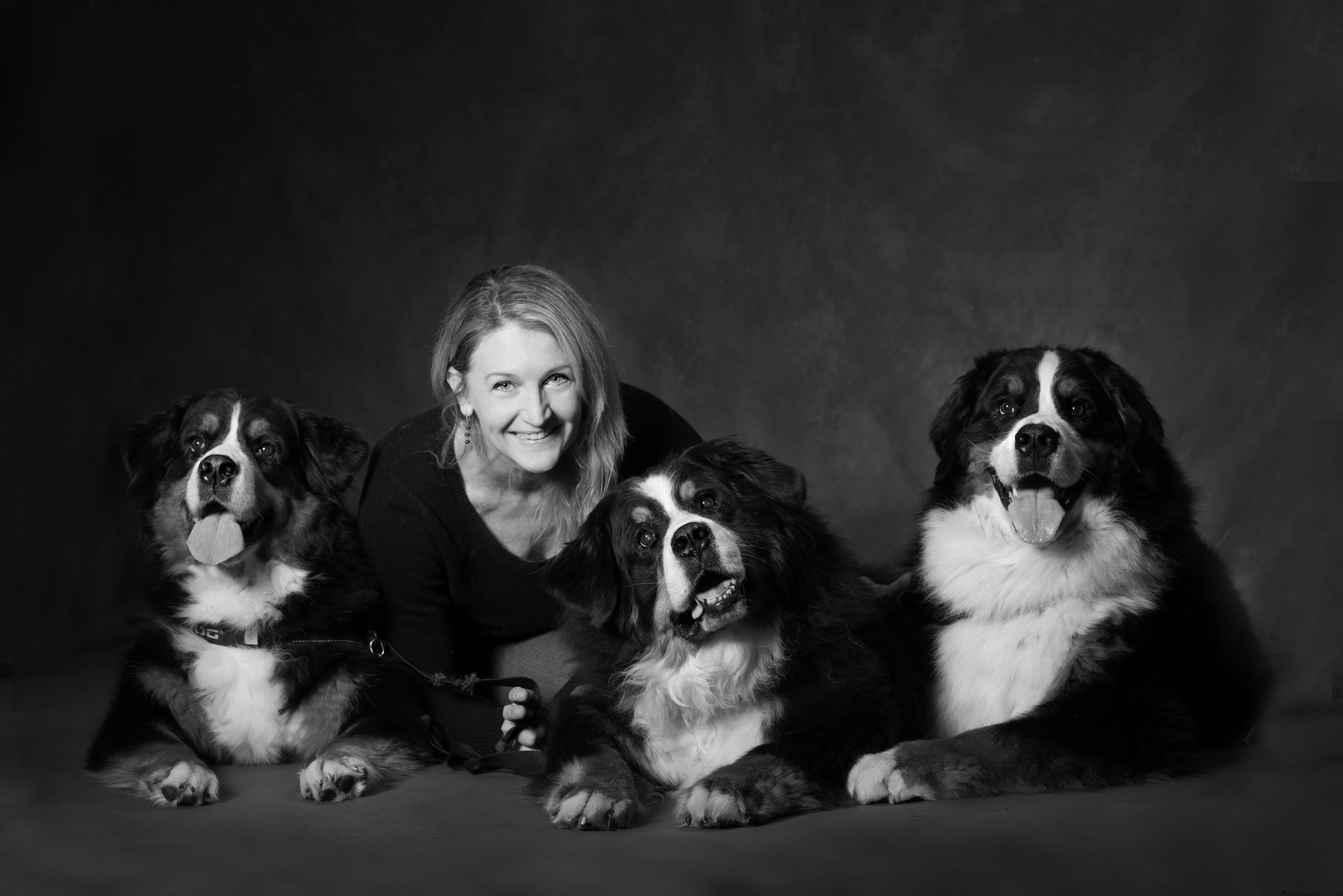 West Linn,Lake Oswego,Portland Photo's,West Linn Family Portraits,Lake Oswego Family Portraits,Bernese Mountain Dogs