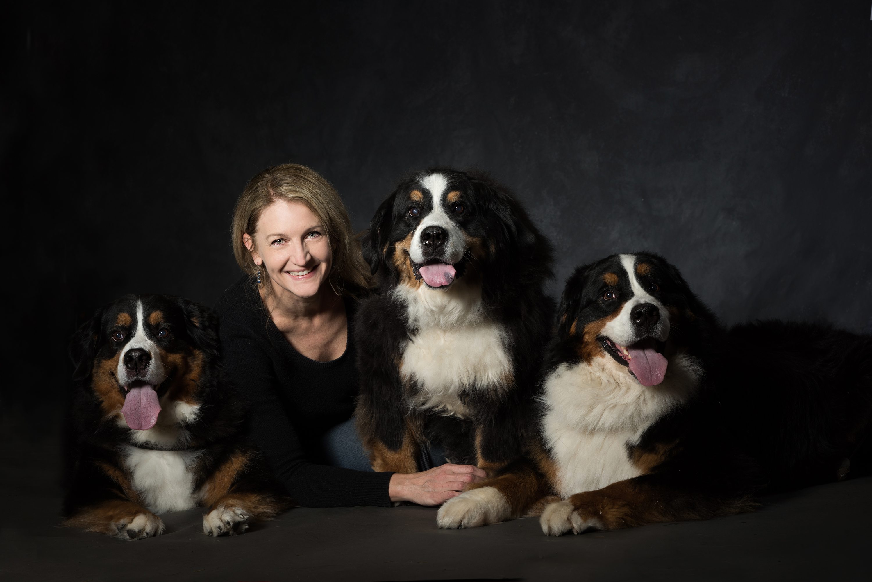 West Linn,Lake Oswego,Portland Photo's,West Linn Family Portraits,Lake Oswego Family Portraits,Bernese Mountain Dogs