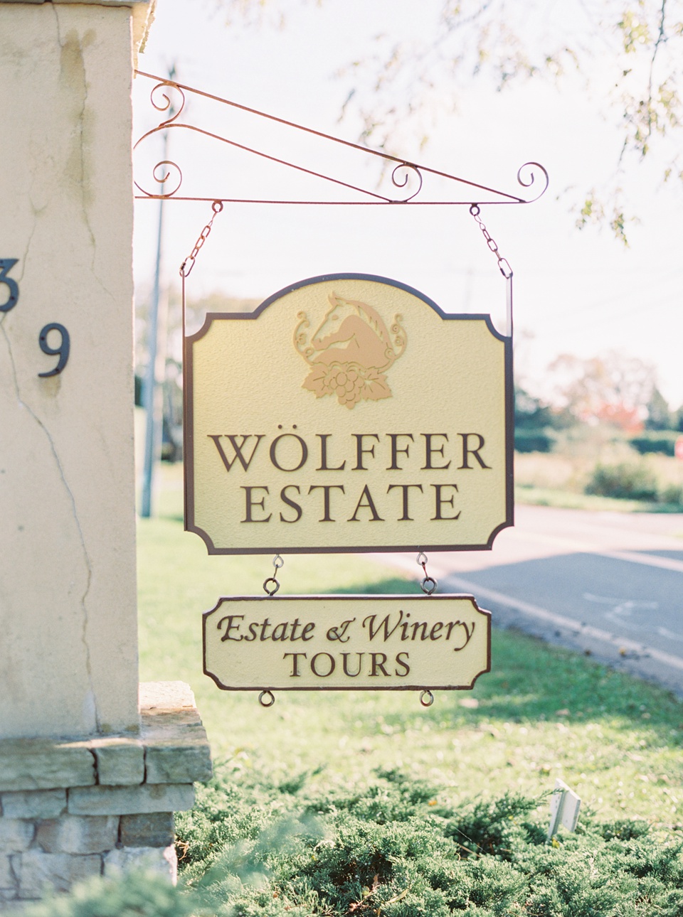 VIneyard,mismatching bridesmaids