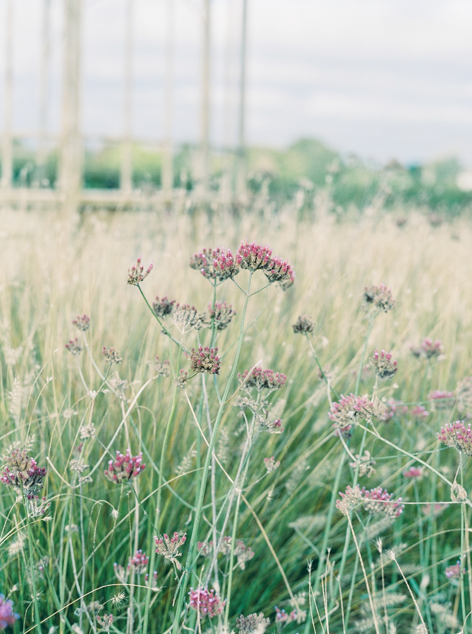 bride wearing gloves,autumn