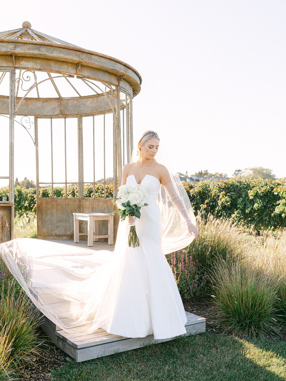 VIneyard,mismatching bridesmaids