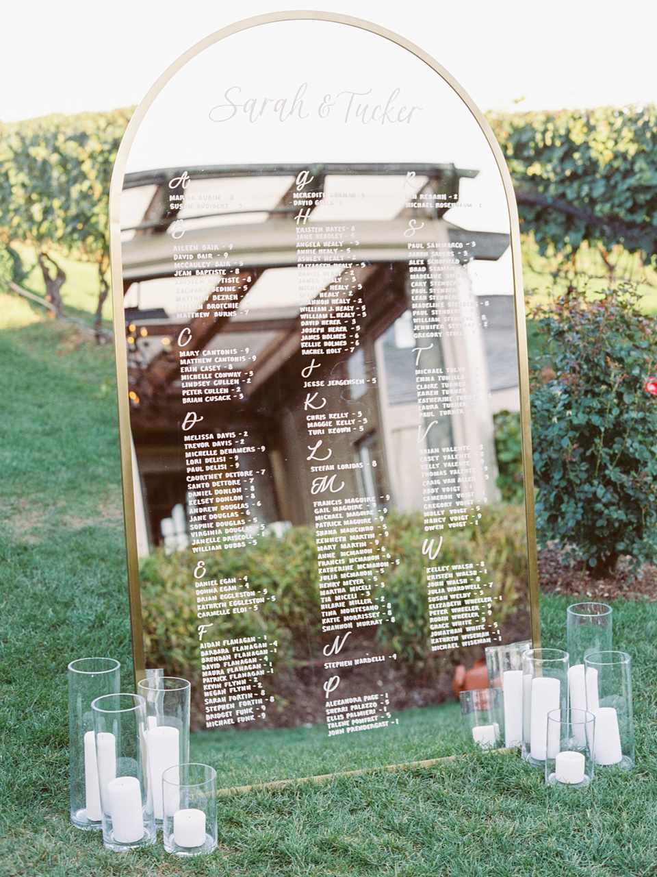 VIneyard,Wolffer Estate