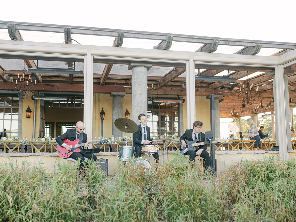 Wollfer Estate,VIneyard