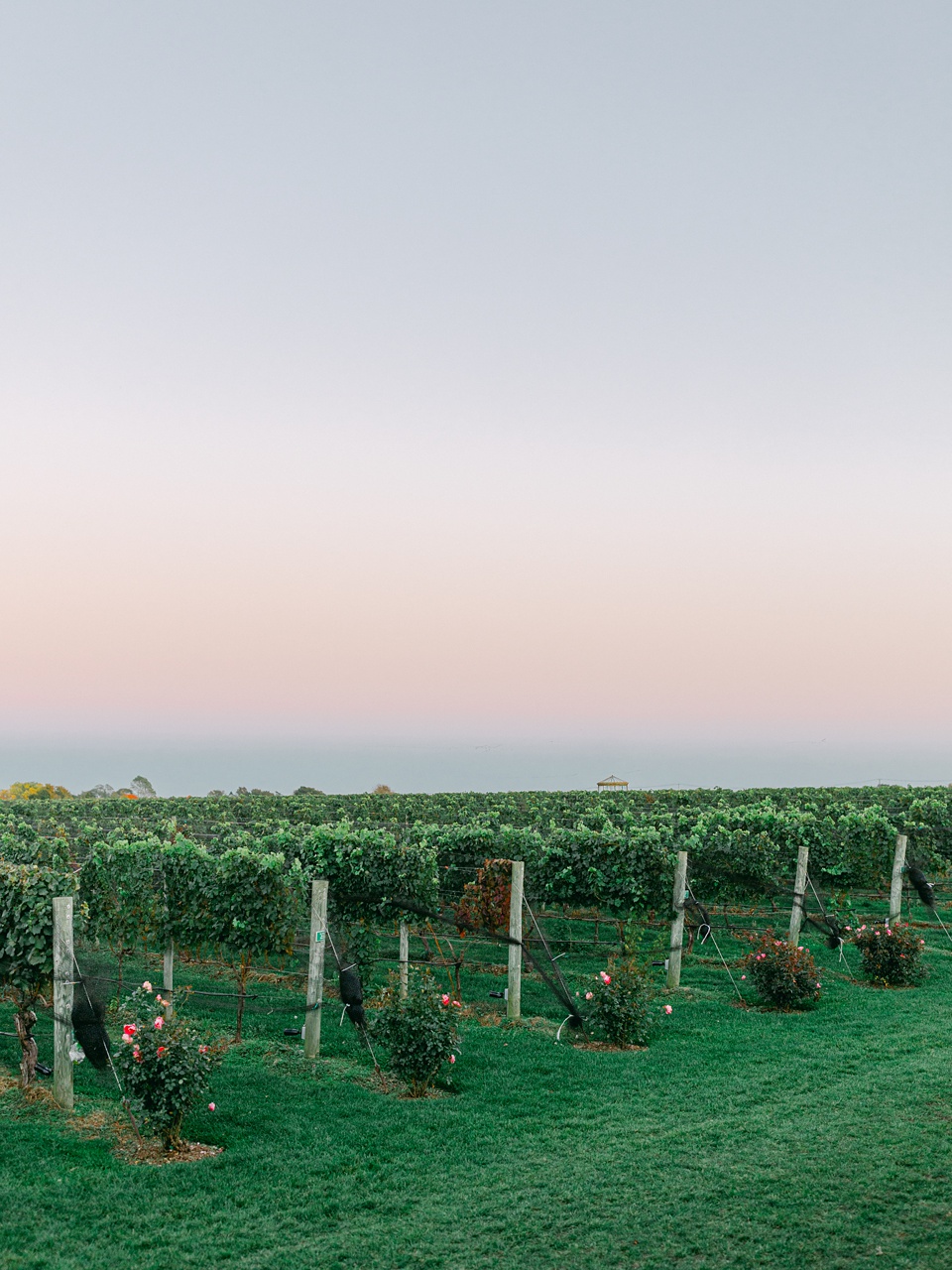 Green and white wedding,autumn