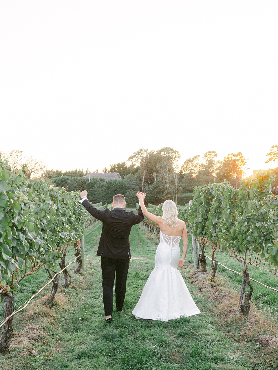 Windmill,Wollfer Estate