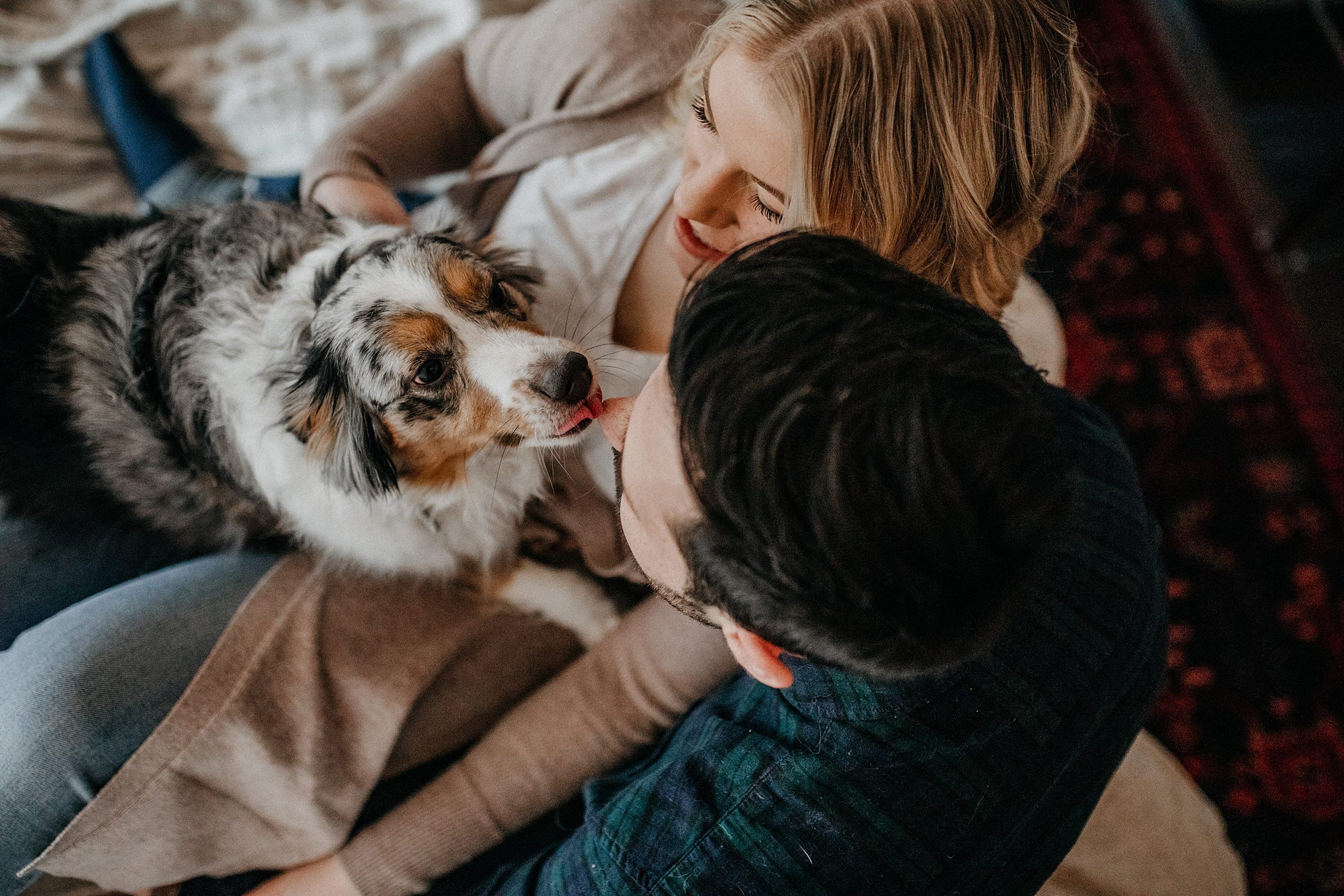 cute couples photos,in home engagement session,candid engagement session,winter engagement session,living room engagement session,engagement photos with dog,couples photos with dog