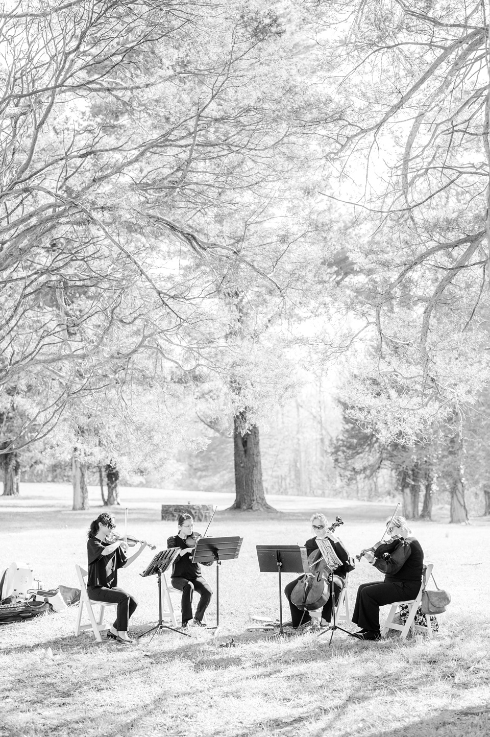 Northern Virginia,Poplar Springs Manor