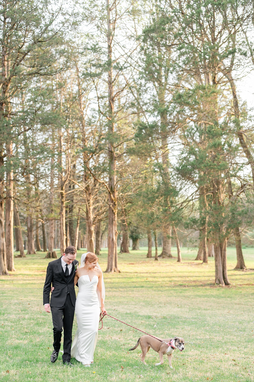 Northern Virginia,Poplar Springs