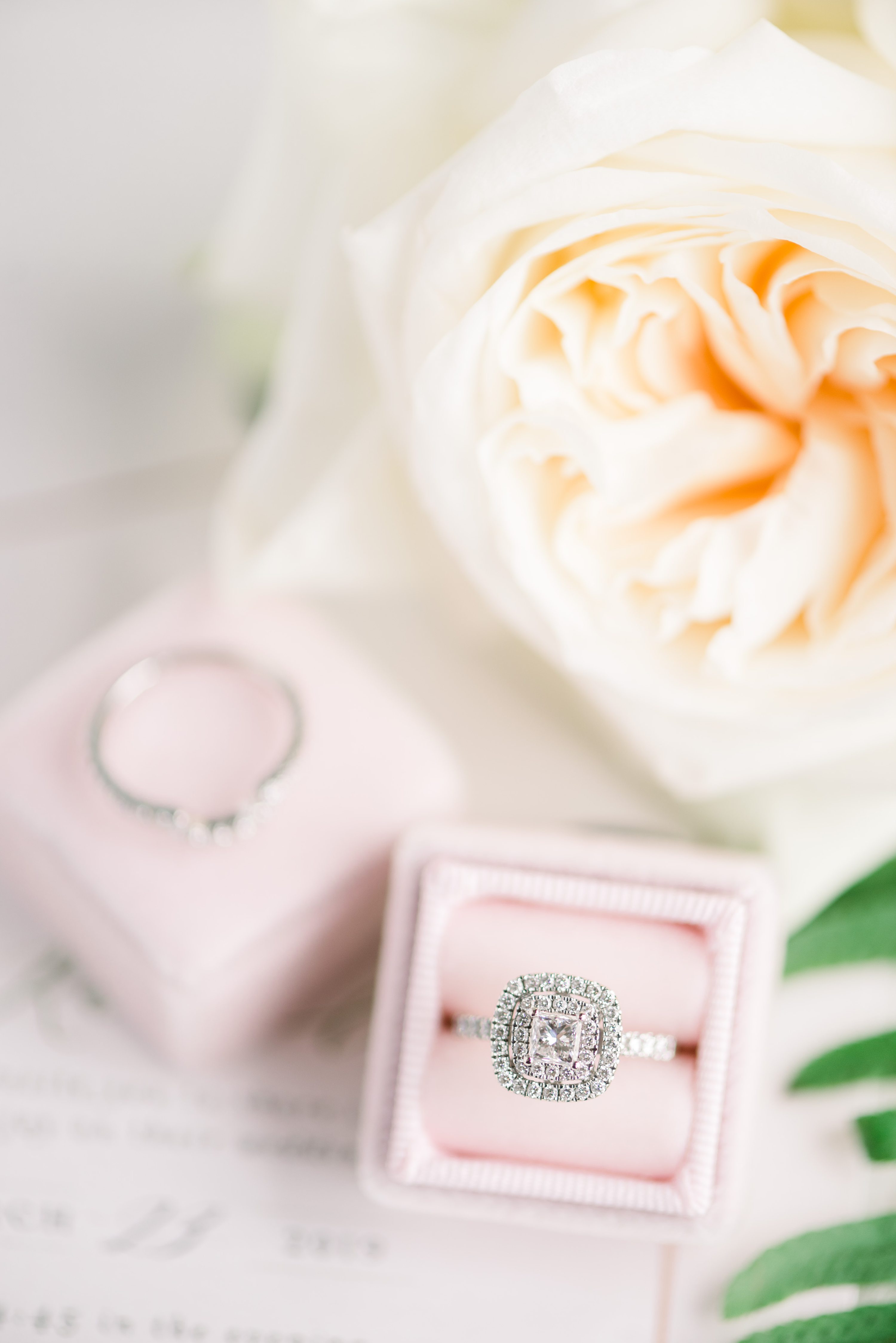 Houston Wedding Photography,Eric & Jenn Photography