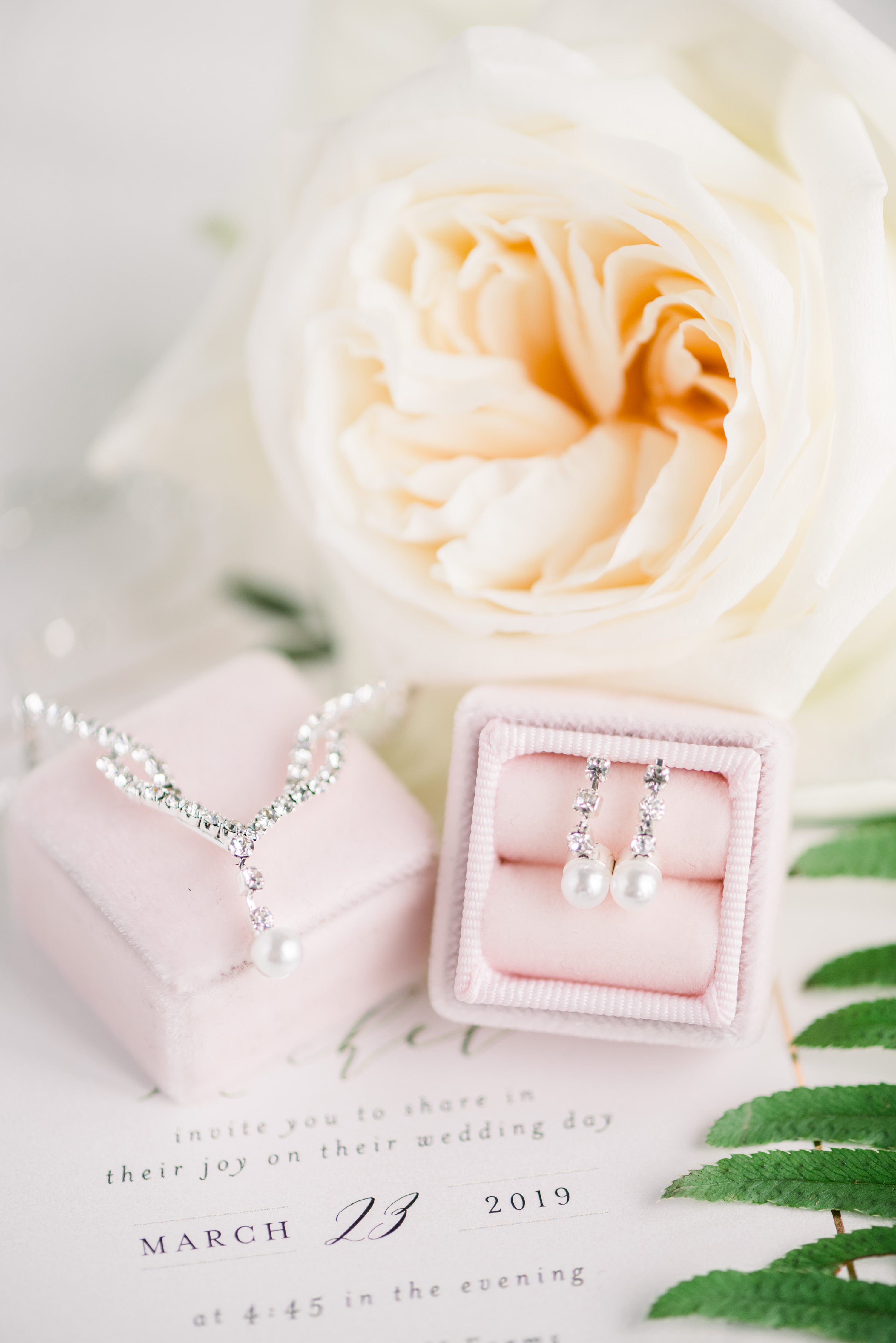 Eric & Jenn Photography,Houston Wedding Photography