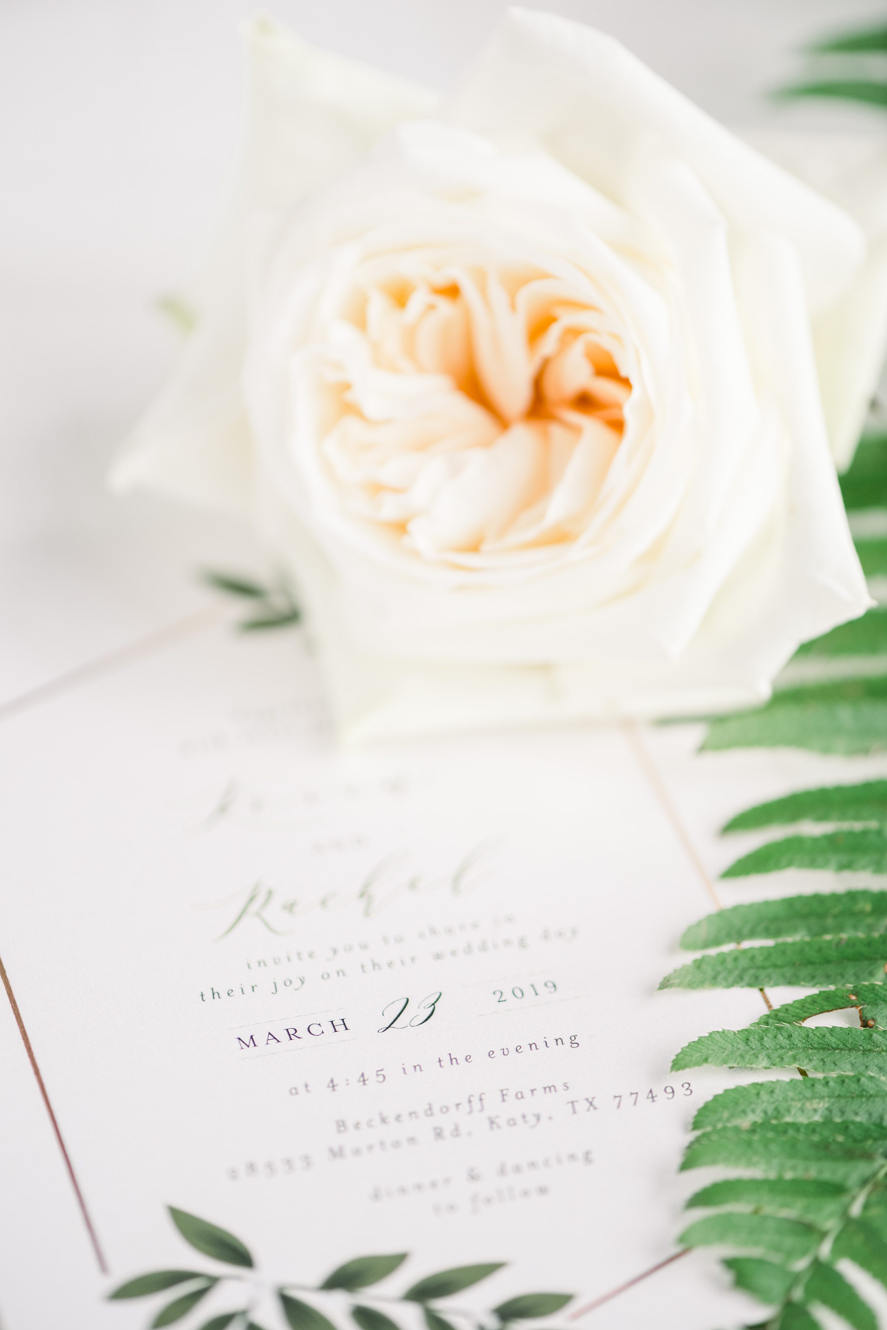 Katy Wedding,Texas