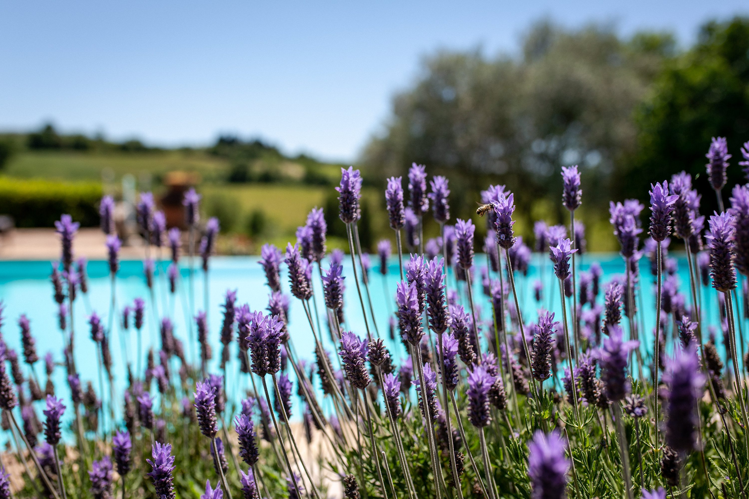 Bohémien elopement al Relais Ortaglia di Montepulciano