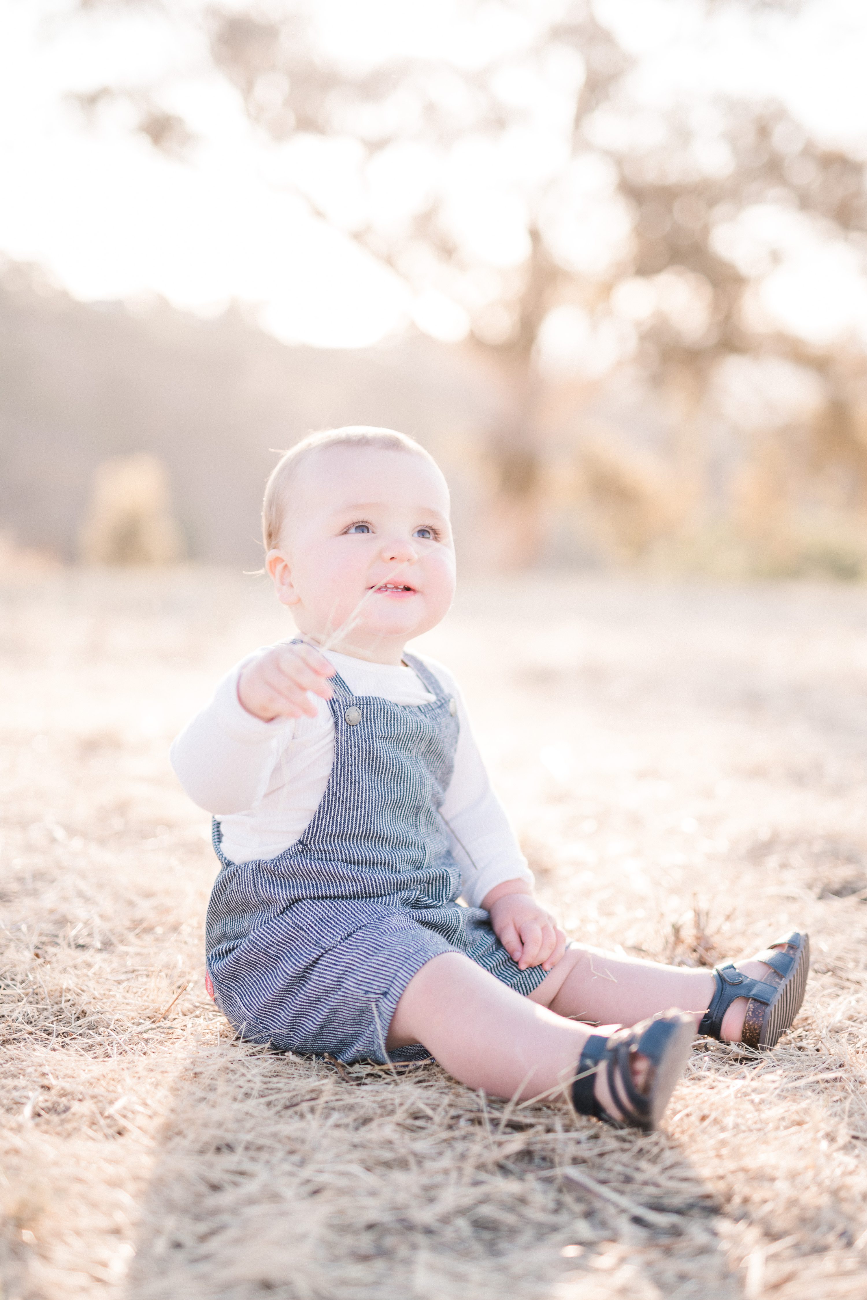 adelaide hills family photographer,sunkissed family session