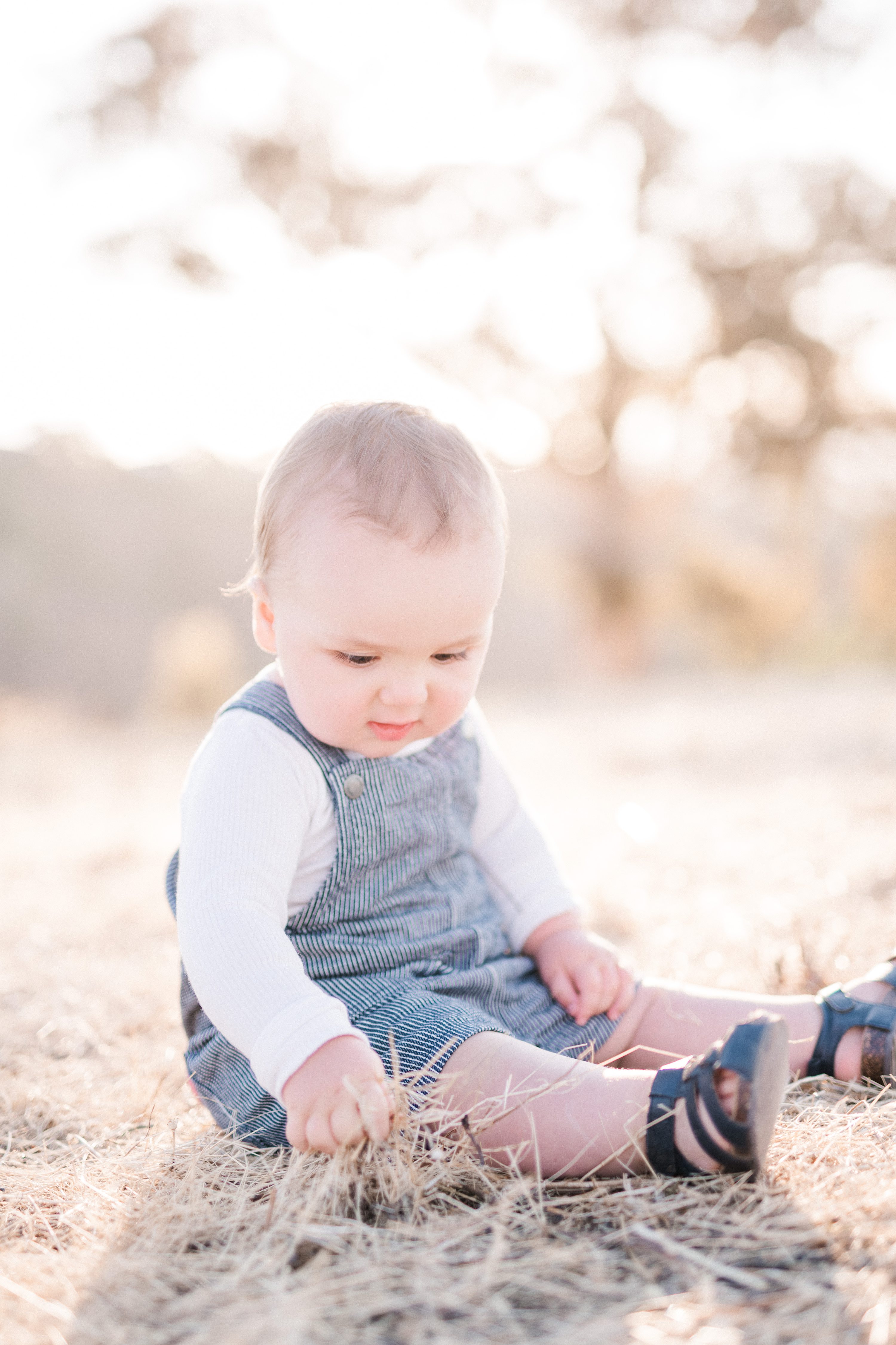 family photos adelaide,adelaide family photographer