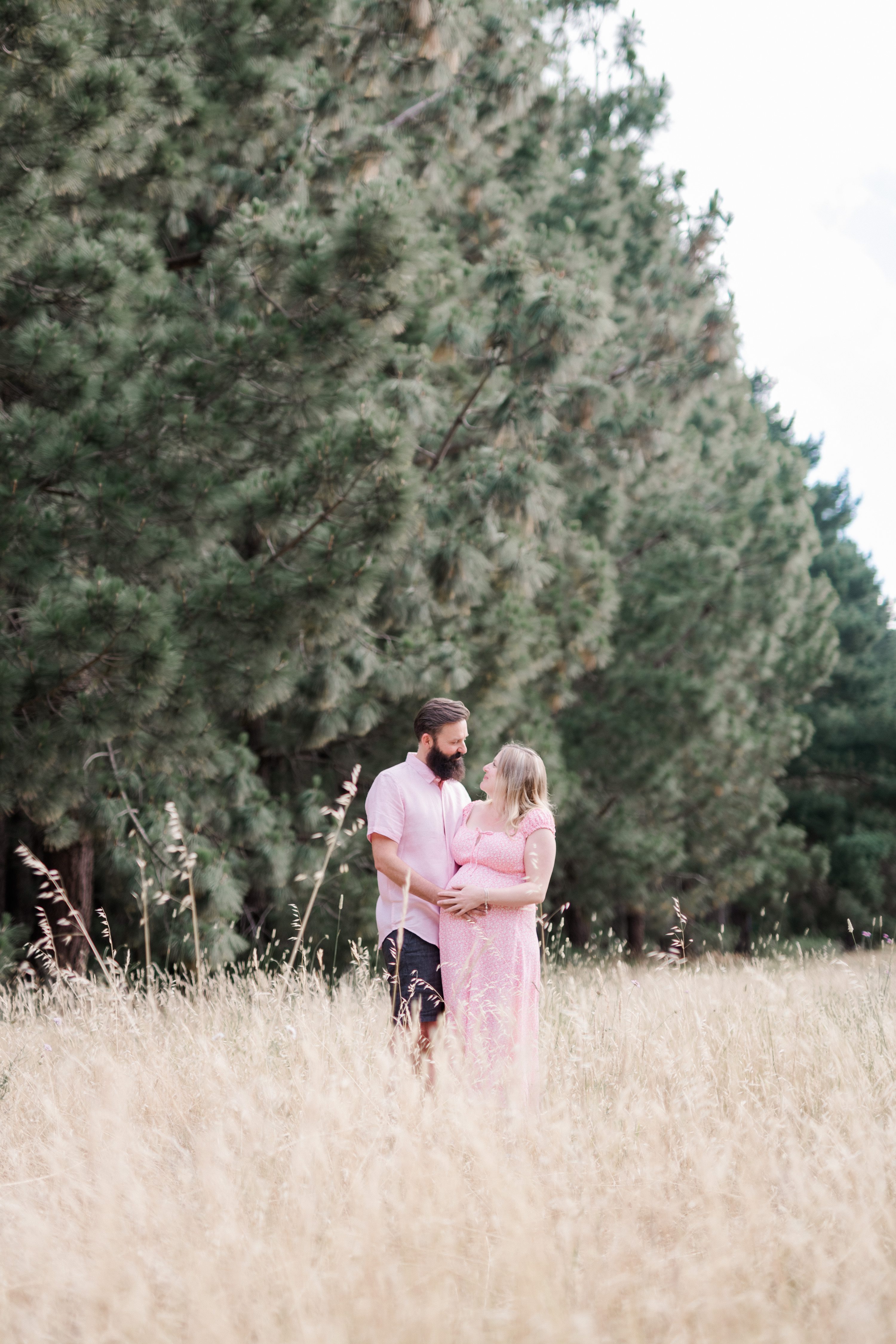 adelaide hills maternity session,amanda kate photography