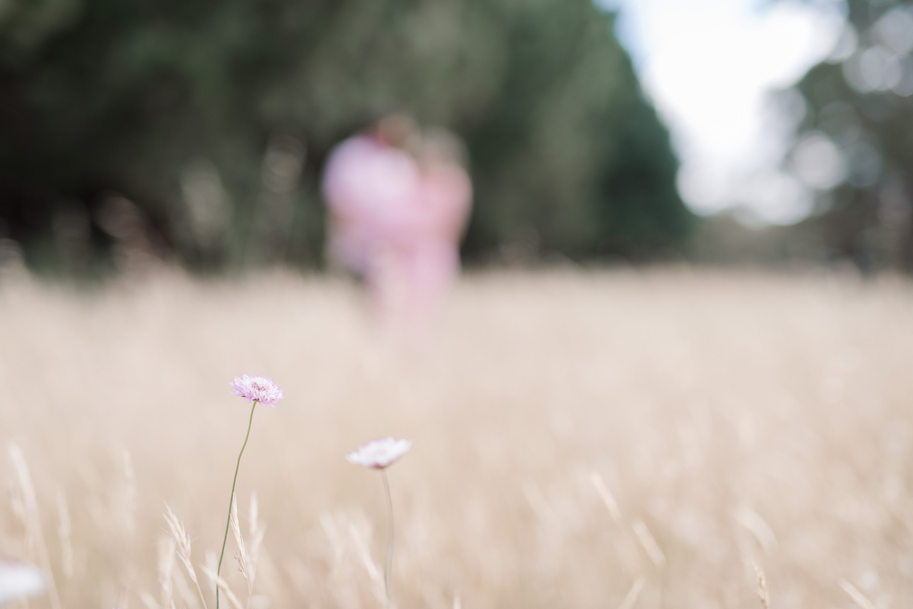 adelaide hills maternity session