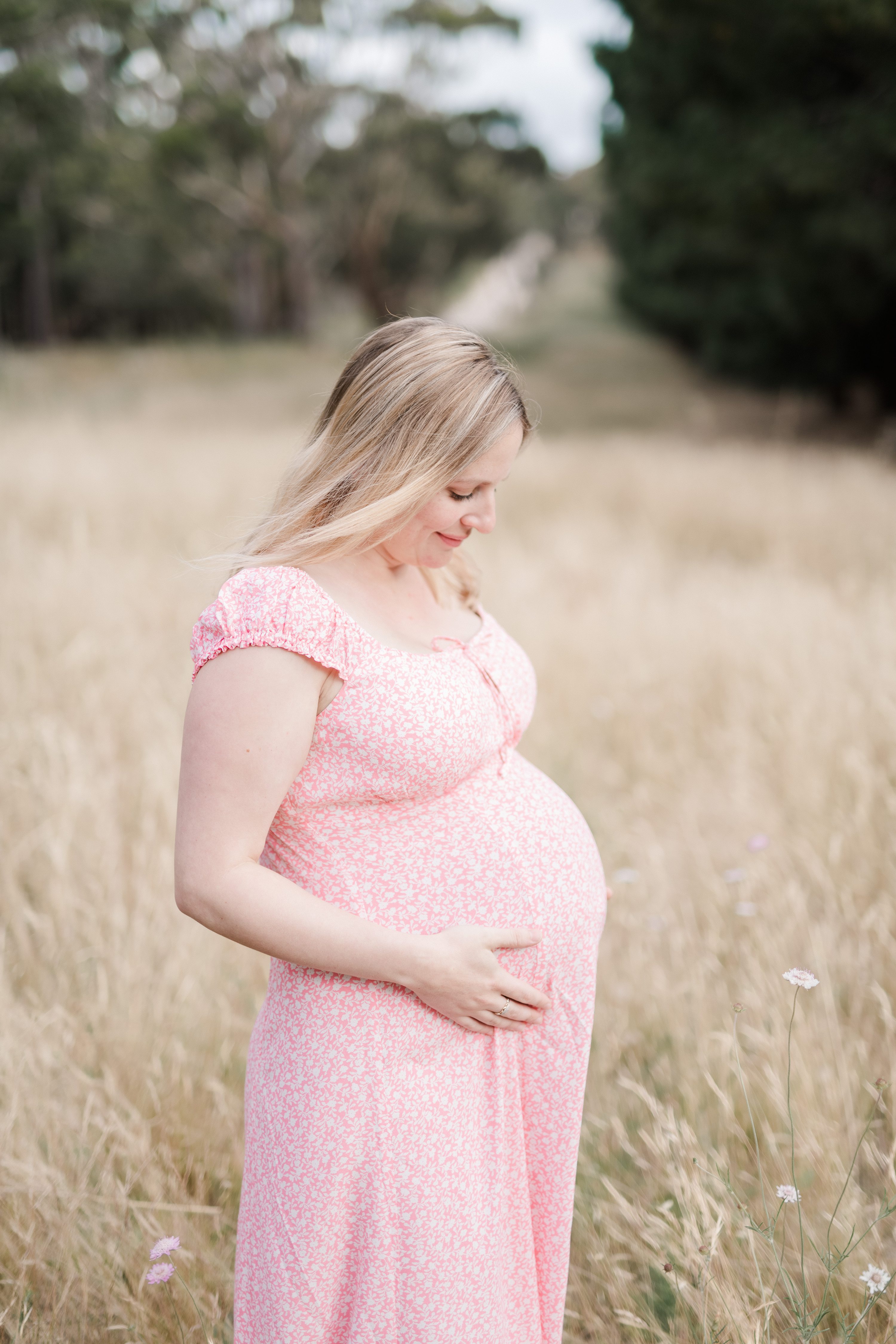 adelaide hills maternity session,adelaide hills maternity session forest maternity session
