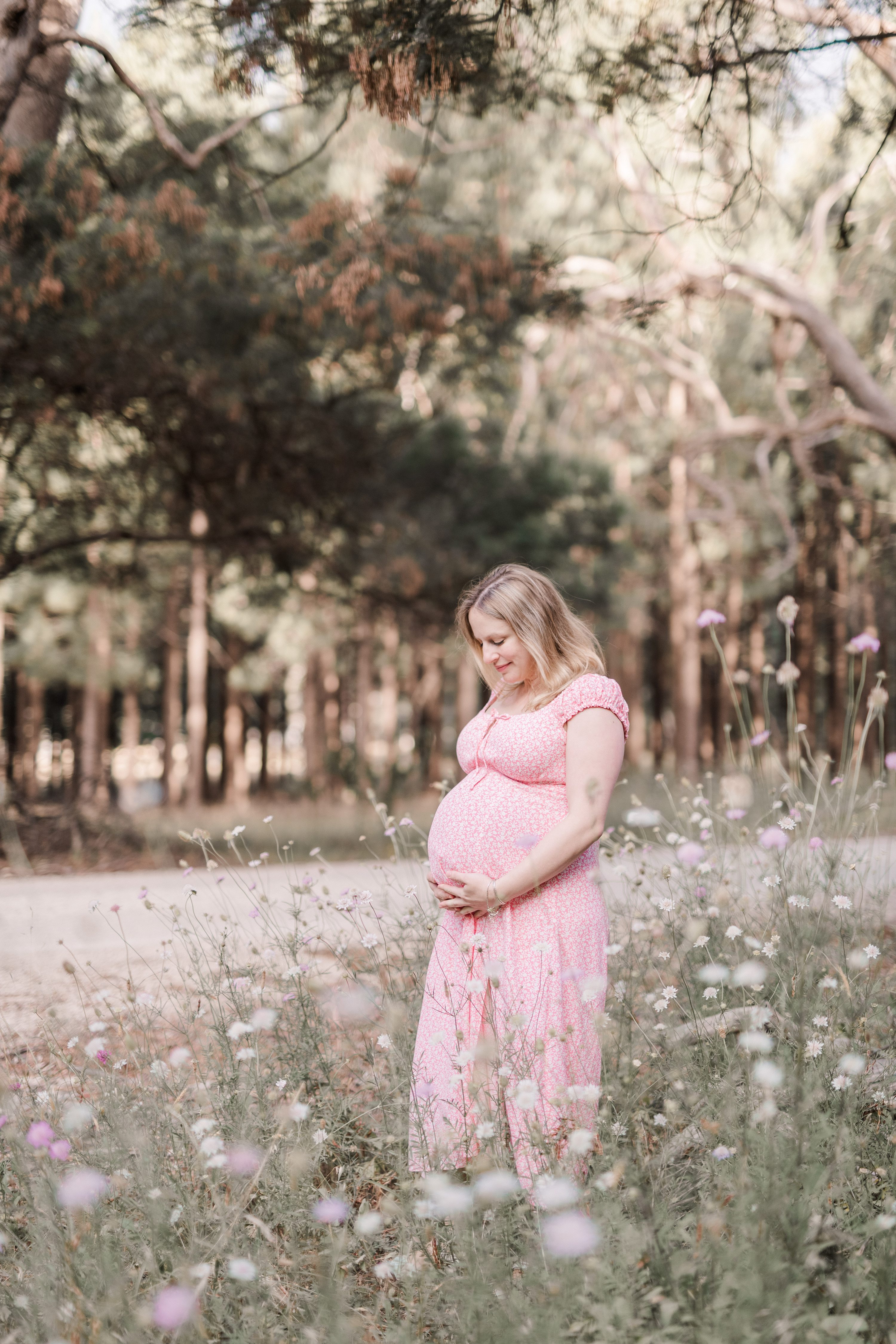 adelaide maternity session,forest maternity session