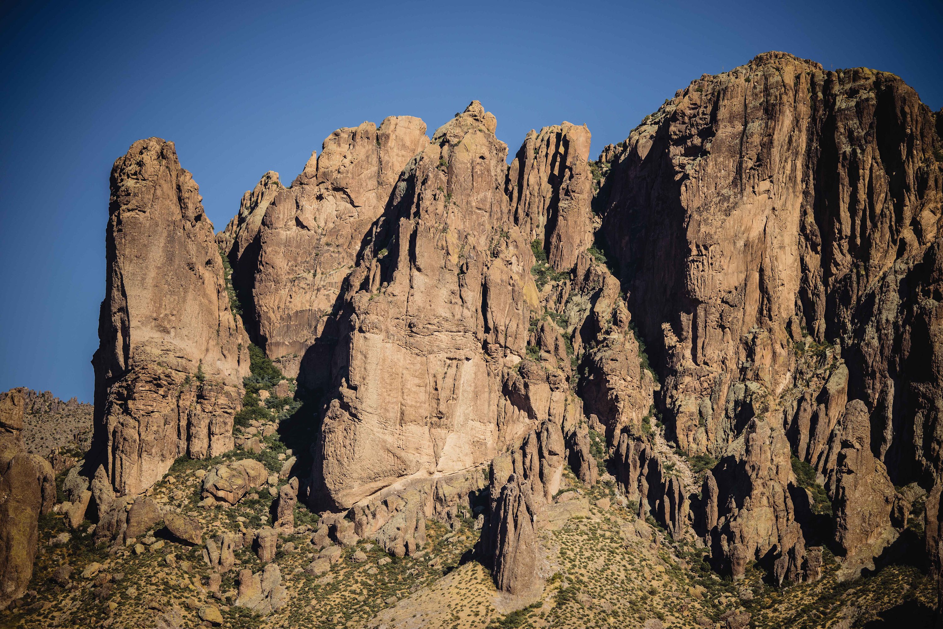 Lost Dutchman State Park Wedding Photography,Lost Dutchman State Park Wedding