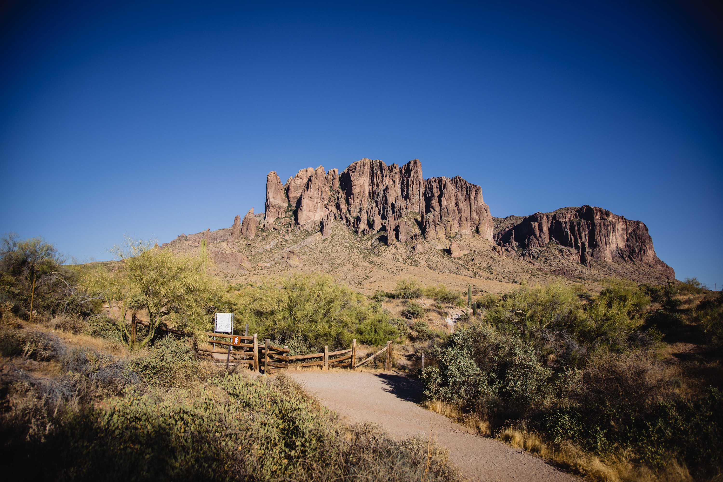 Lost Dutchman State Park Wedding Photography,Lost Dutchman State Park Micro Wedding