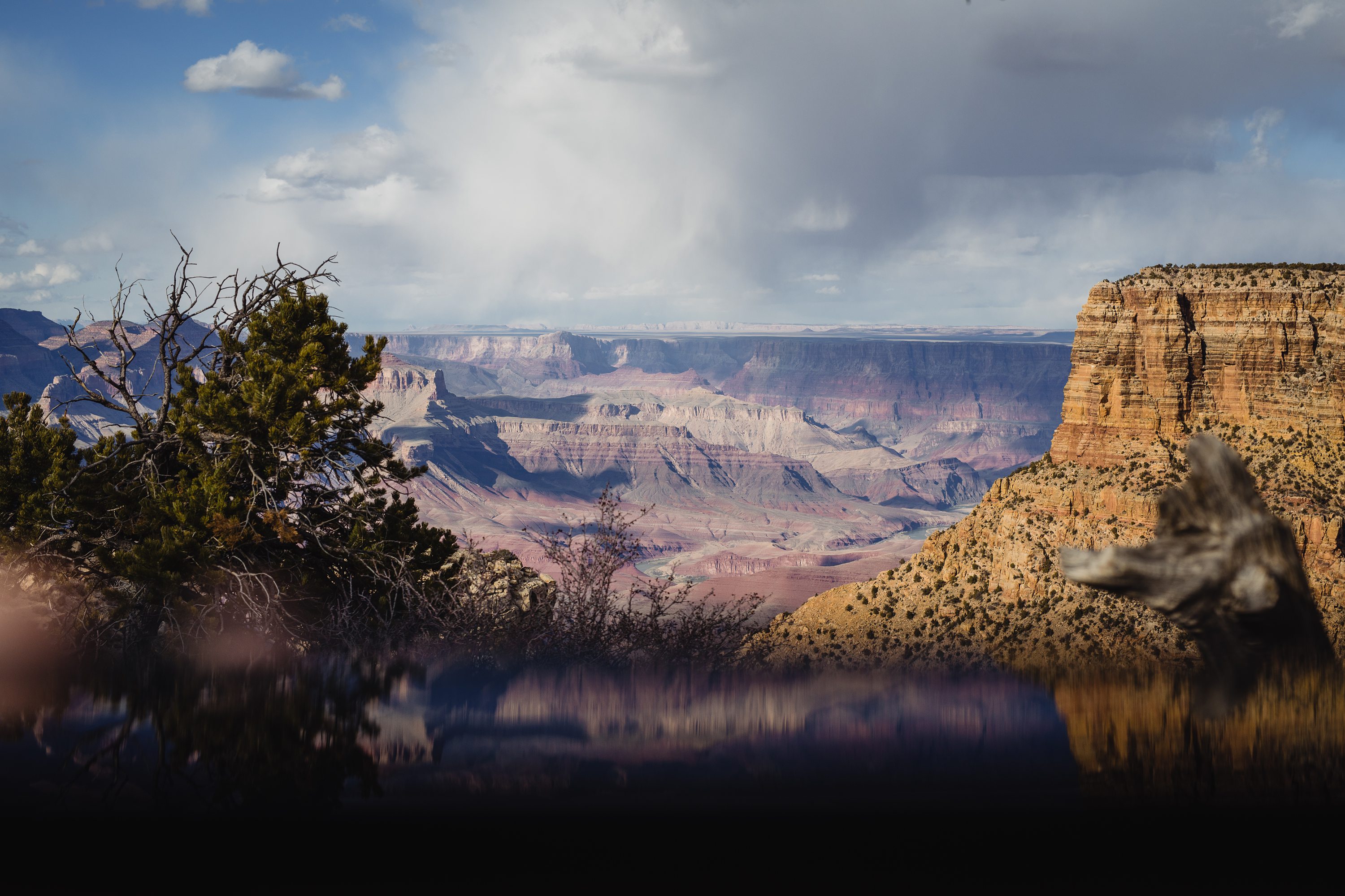 Grand Canyon National Park Elopement,Arizona Elopement