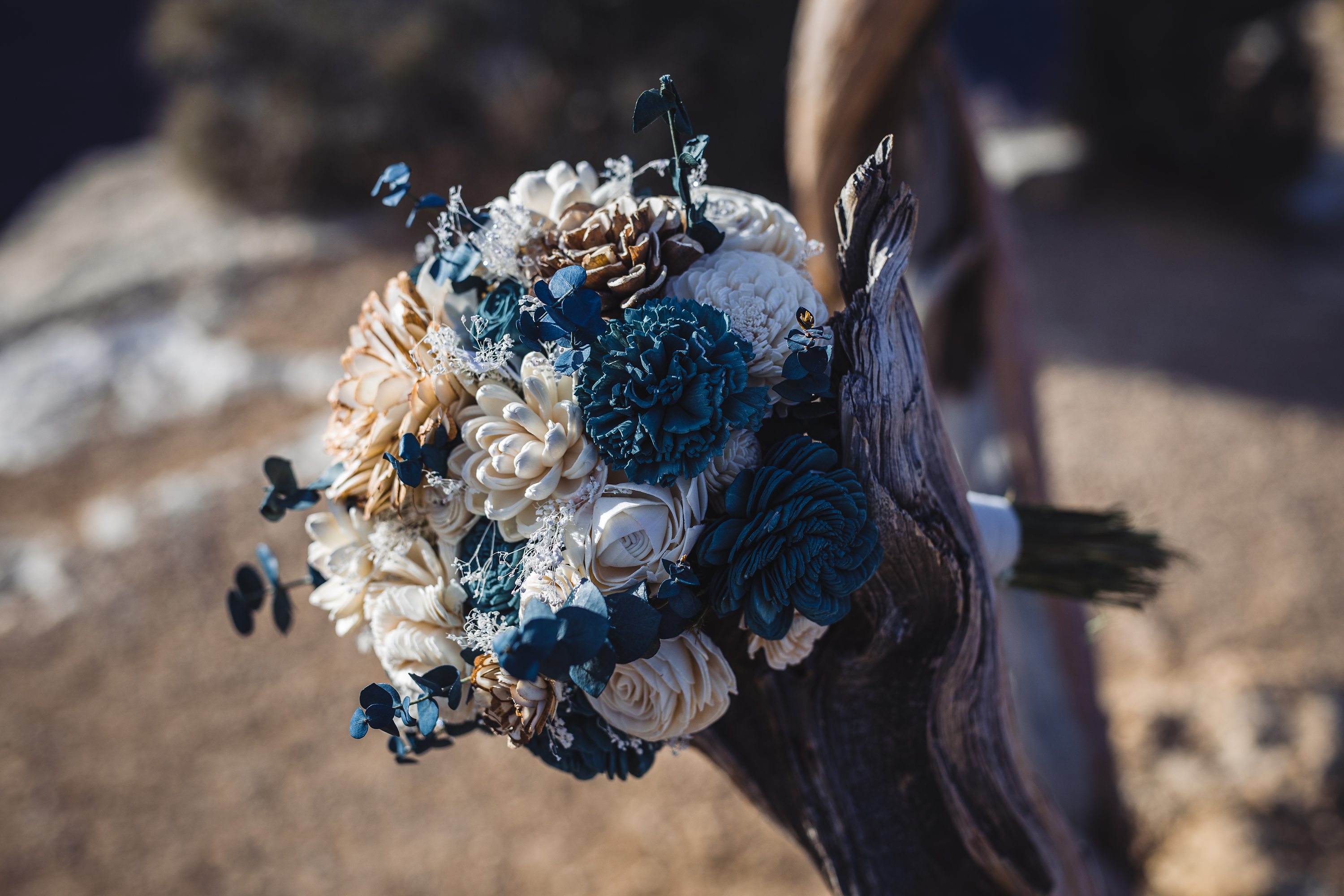 Arizona Elopement