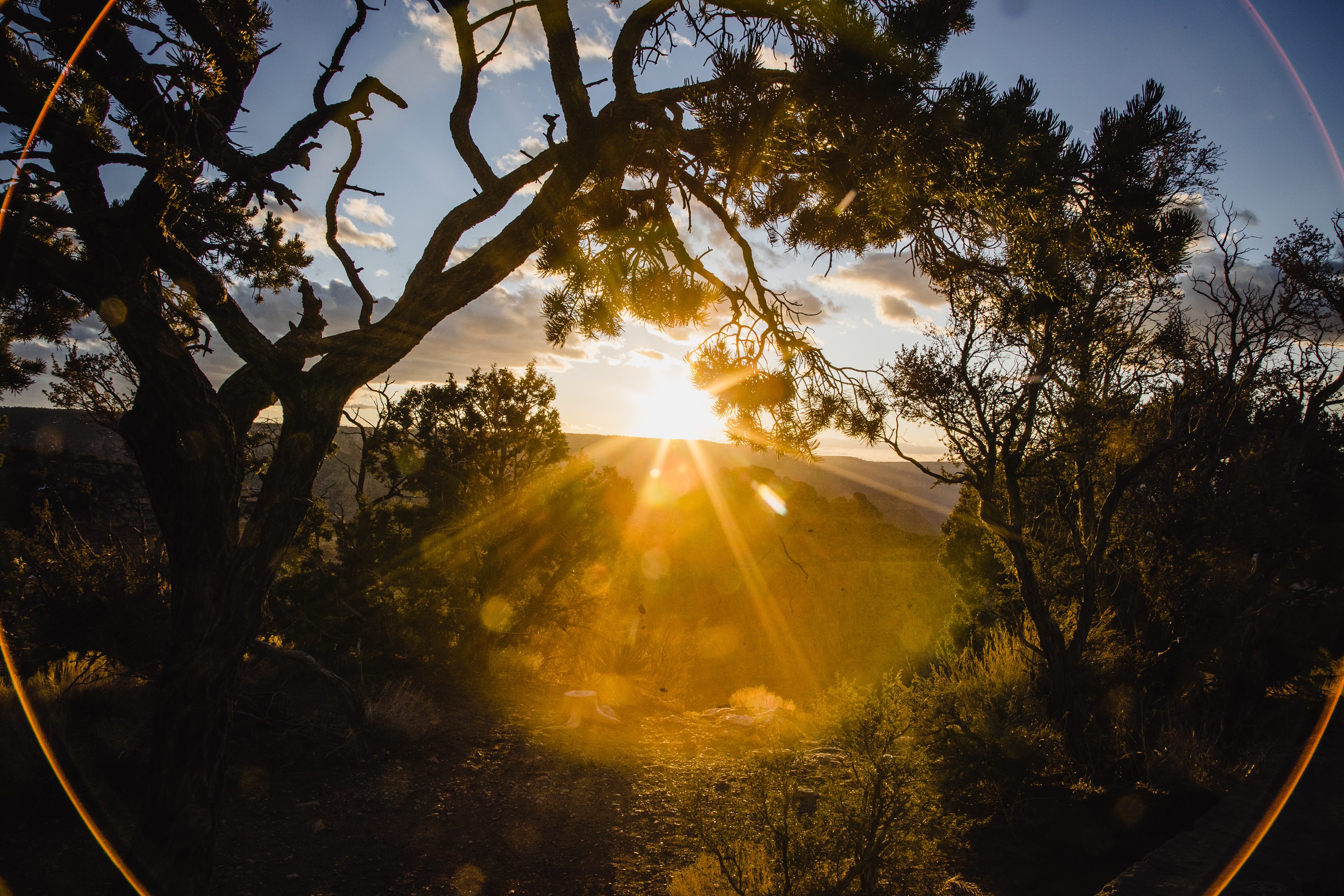 Small Grand Canyon Wedding,Grand Canyon Elopement