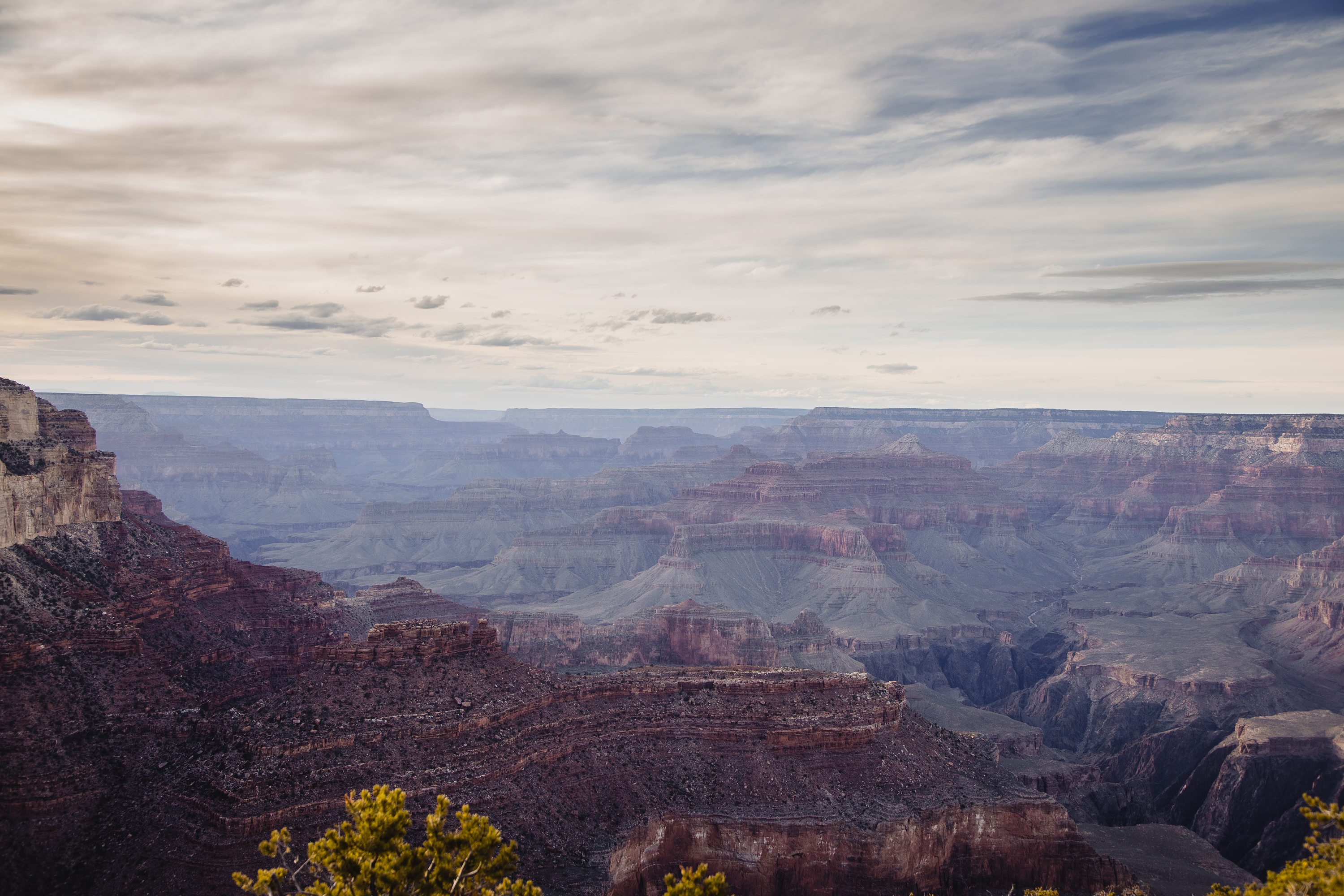 Engaged at the Grand Canyon,She Said Yes At The Grand Canyon