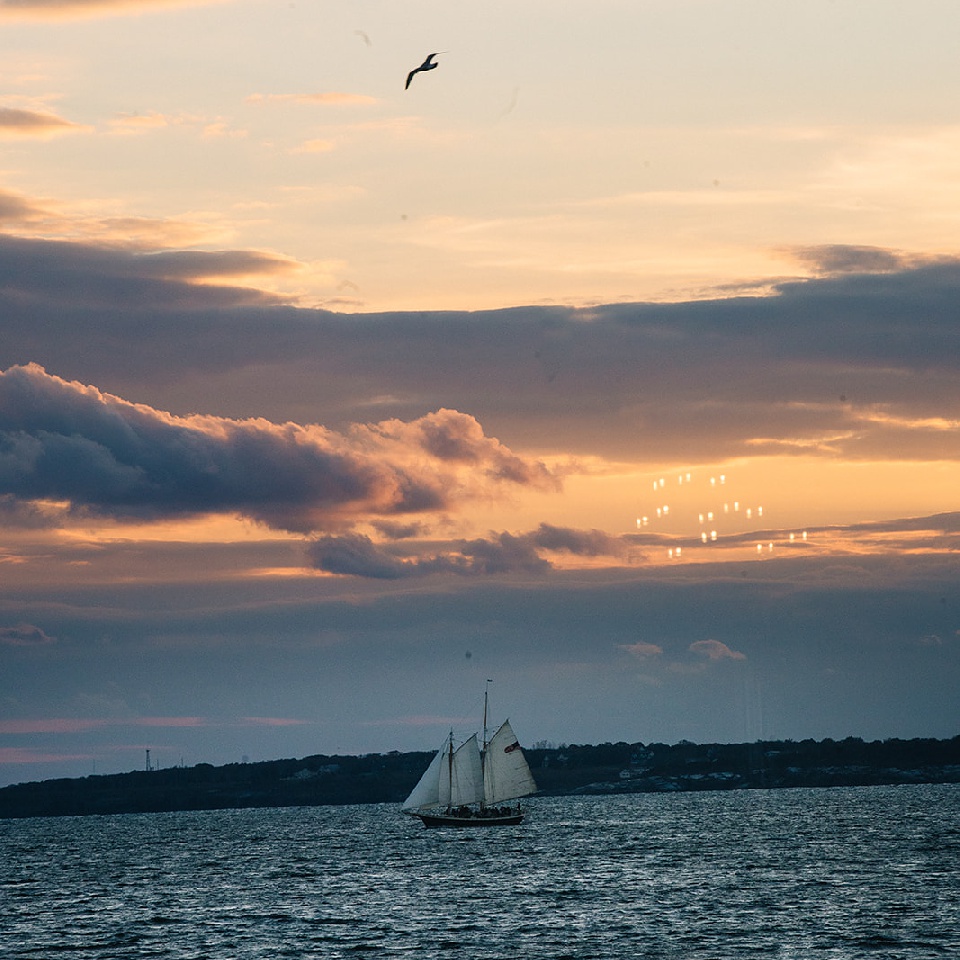 weddings in newport ri,longwood venue