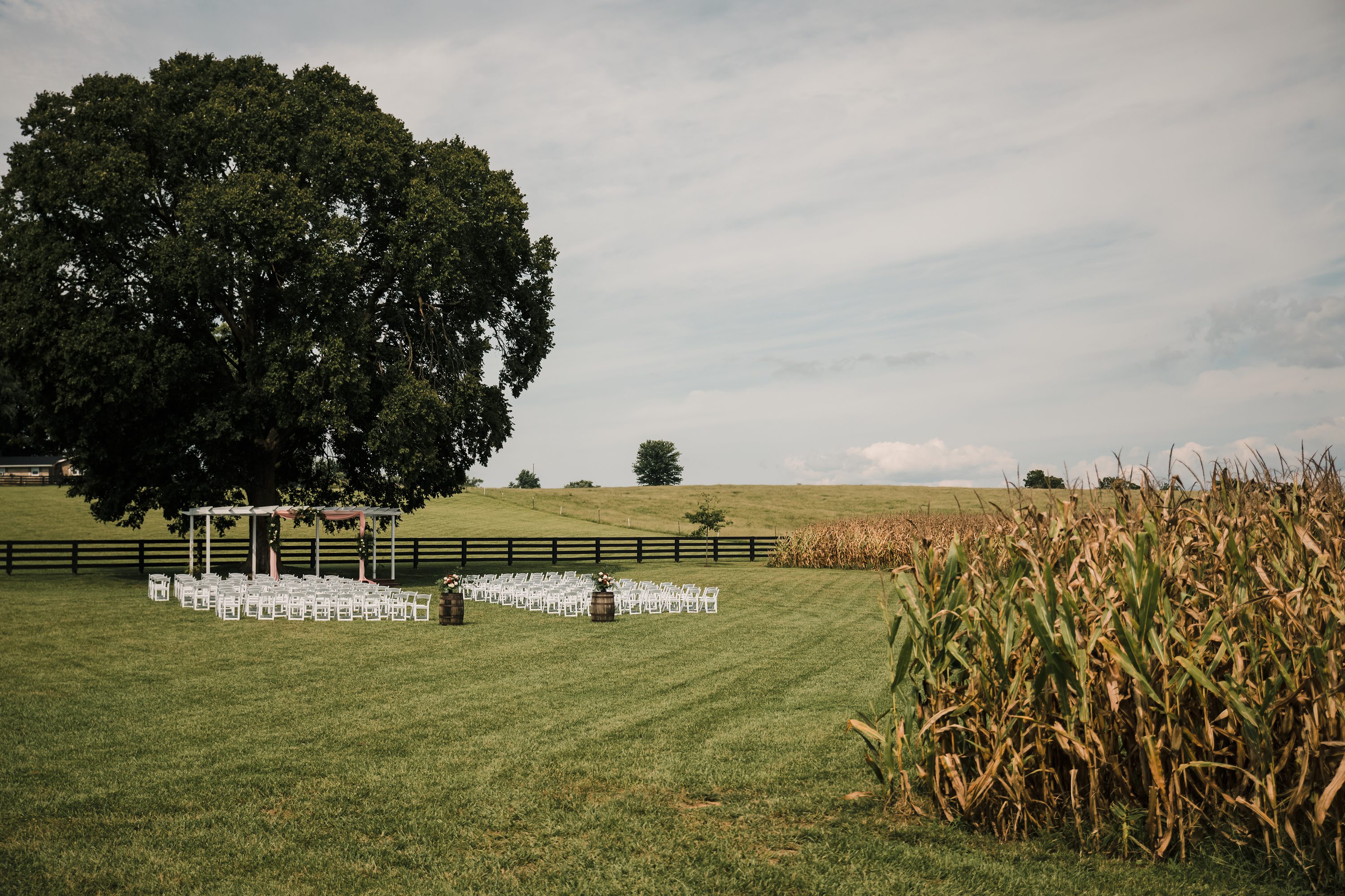 Kentucky Wedding,Suits-Us Farms,Kentucky Bride,Kentucky Photographer kentucky photographer,kentucky bride