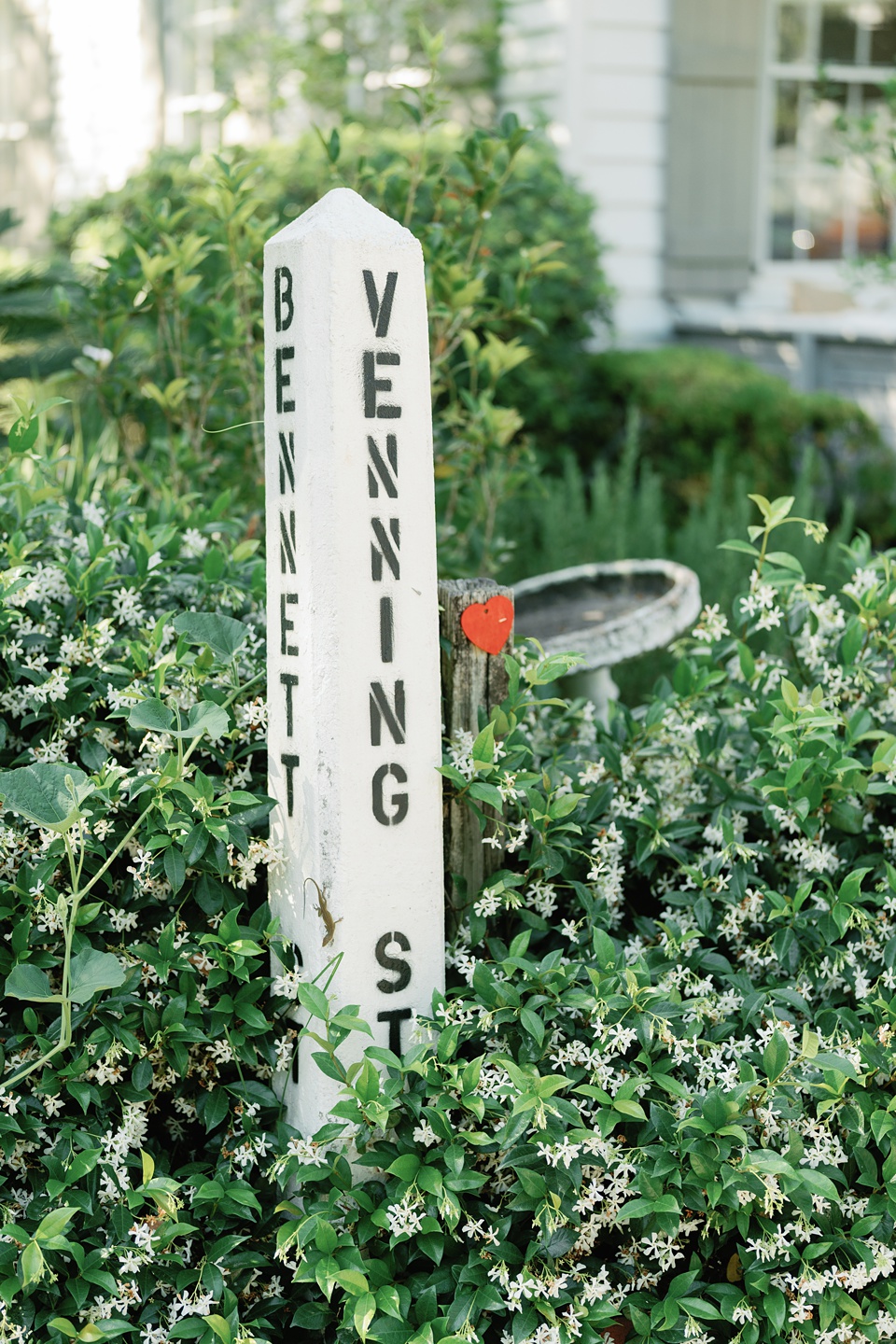 charleston micro wedding,intimitate wedding post house inn