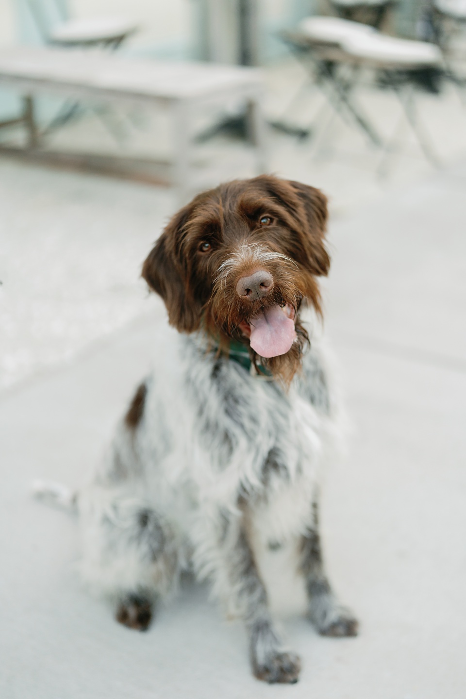 old village mount pleasant wedding,intimate wedding in charleston