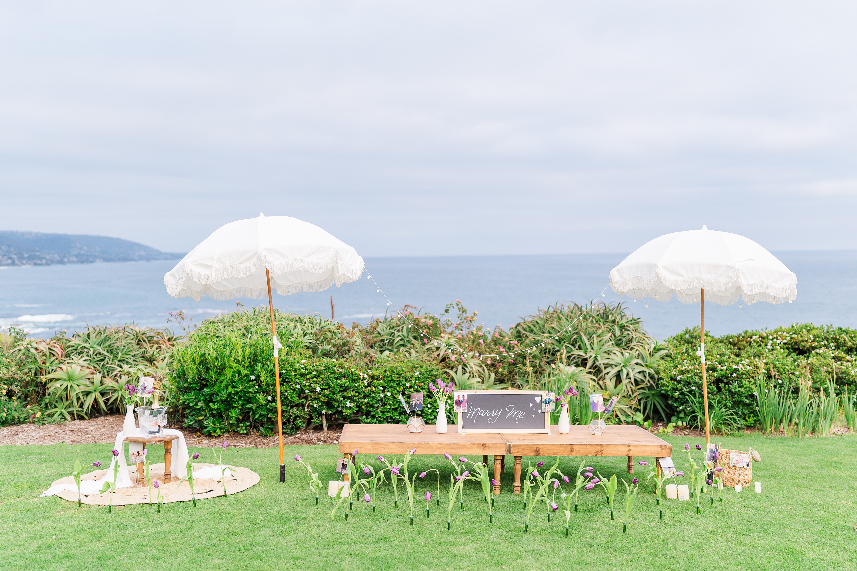Surprise Proposal at Crescent Bay | Laguna Beach,Laguna Beach Proposal Photographer | Crescent Bay crescent bay surprise proposal,proposal at crescent bay