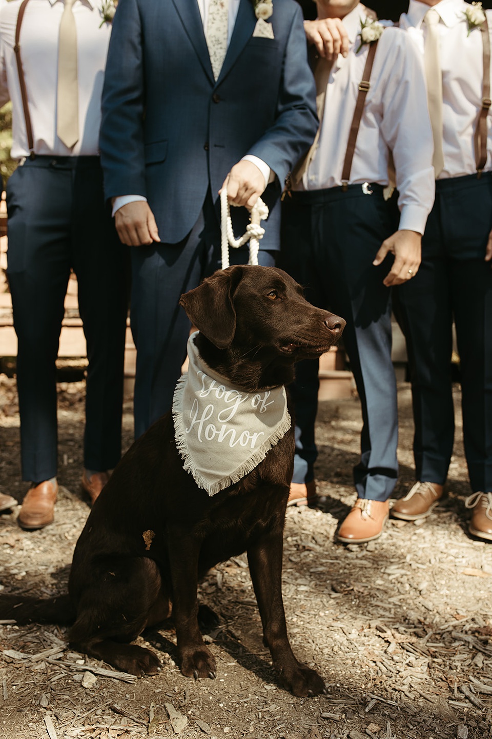 hidden springs apison tennessee,hidden springs venue tennessee wedding