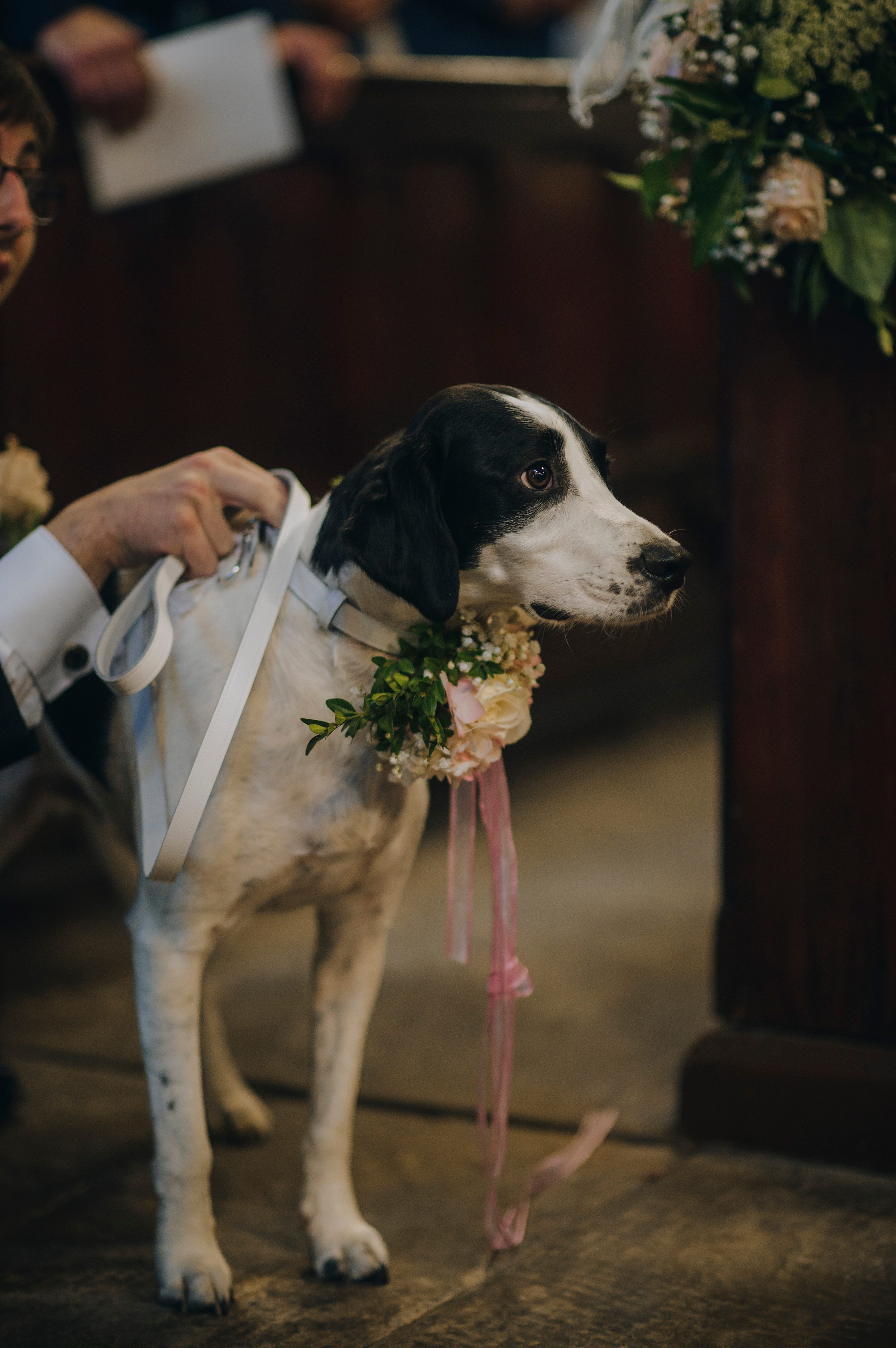 Yorkshire wedding photographer,Bagden Hall weddings,St Peter's Church, Tankersley wedding photo,dog ring bearer