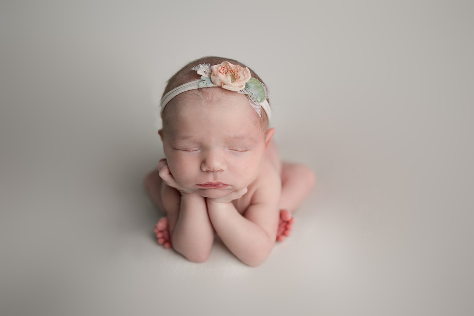 Commercial newborn studio Gainesville